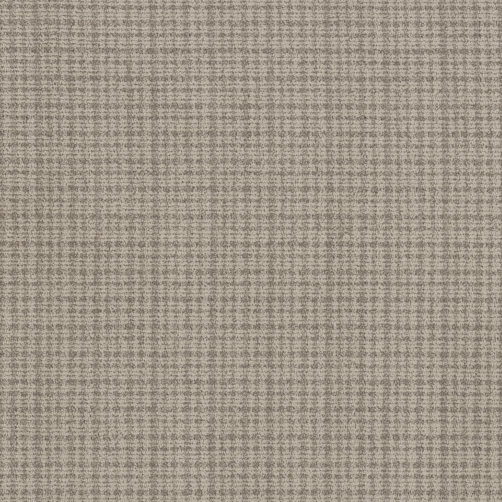 Echo Vale-Taupe Haze-ZB393_00107