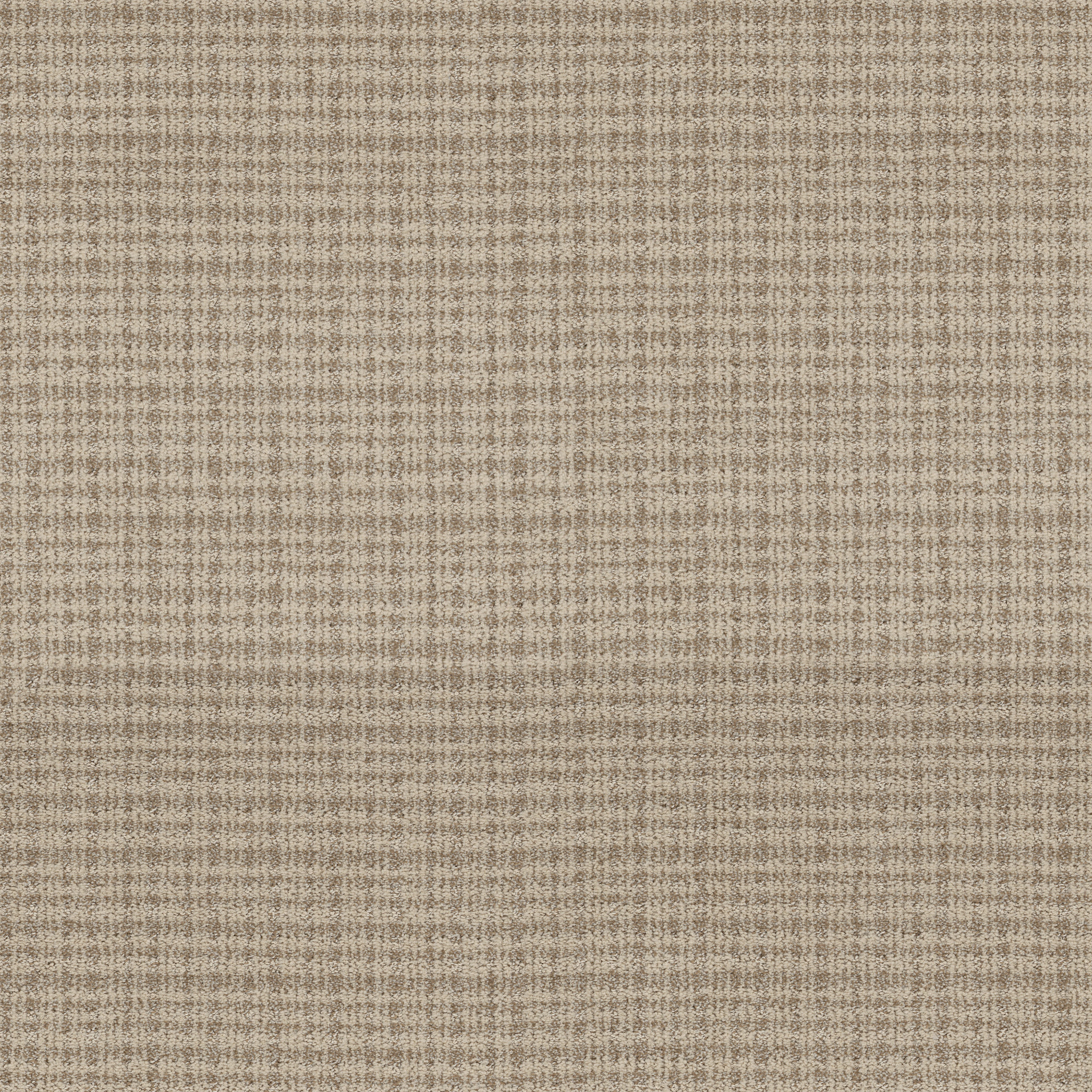 Echo Vale-Soft Tan-ZB393_00108