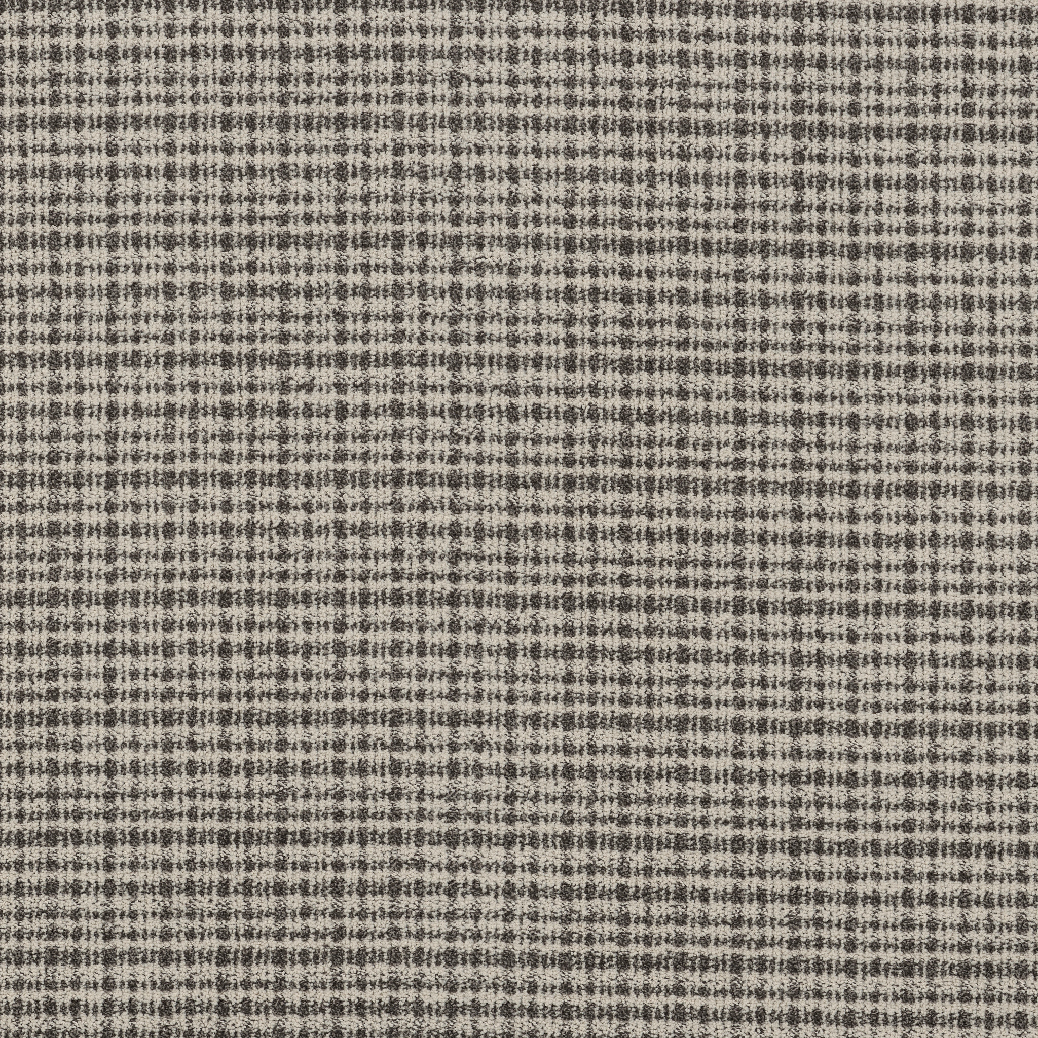 Echo Vale-Tuxedo-ZB393_00109