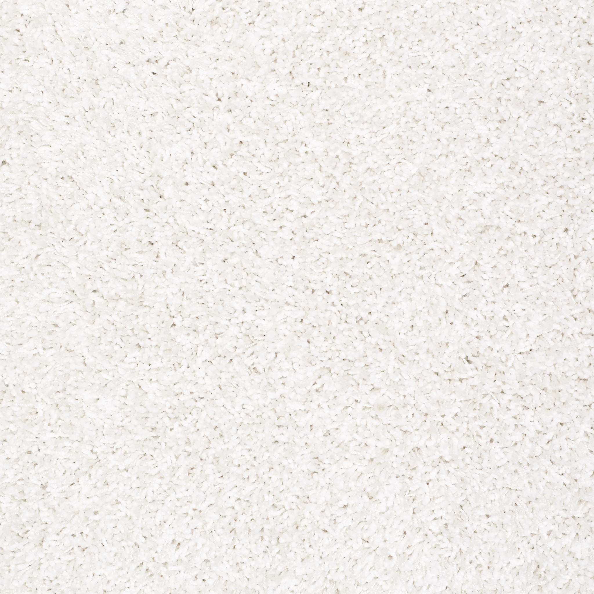 fresh vision glam carpets zb949_00101 Shaw Builder Flooring