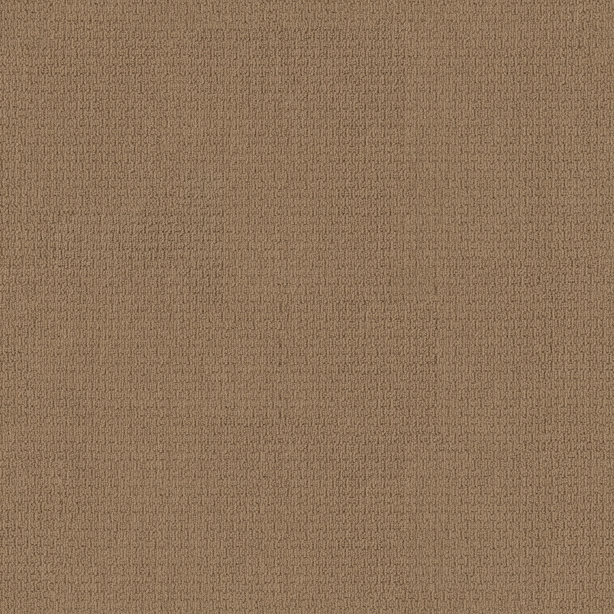 House Warming ZL812 00228 | Shaw Builder Flooring