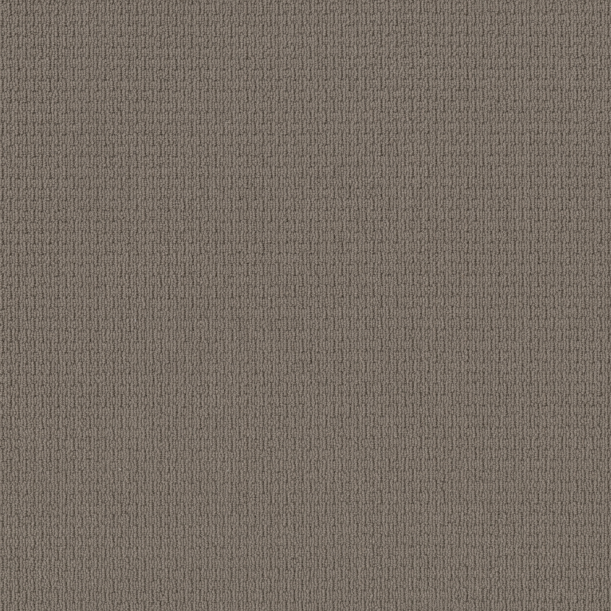 Simply Taupe