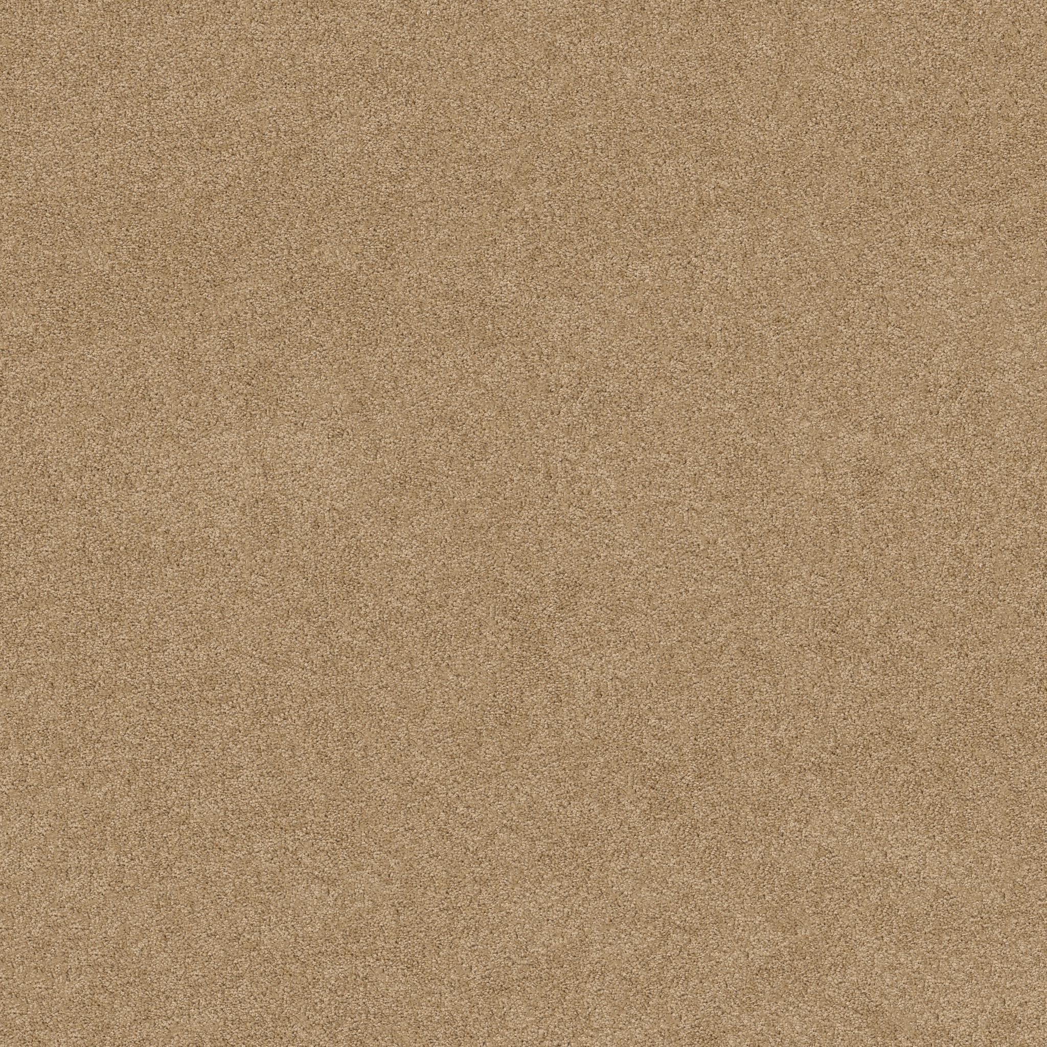 Papermate I-Chamois-ZL814_00221