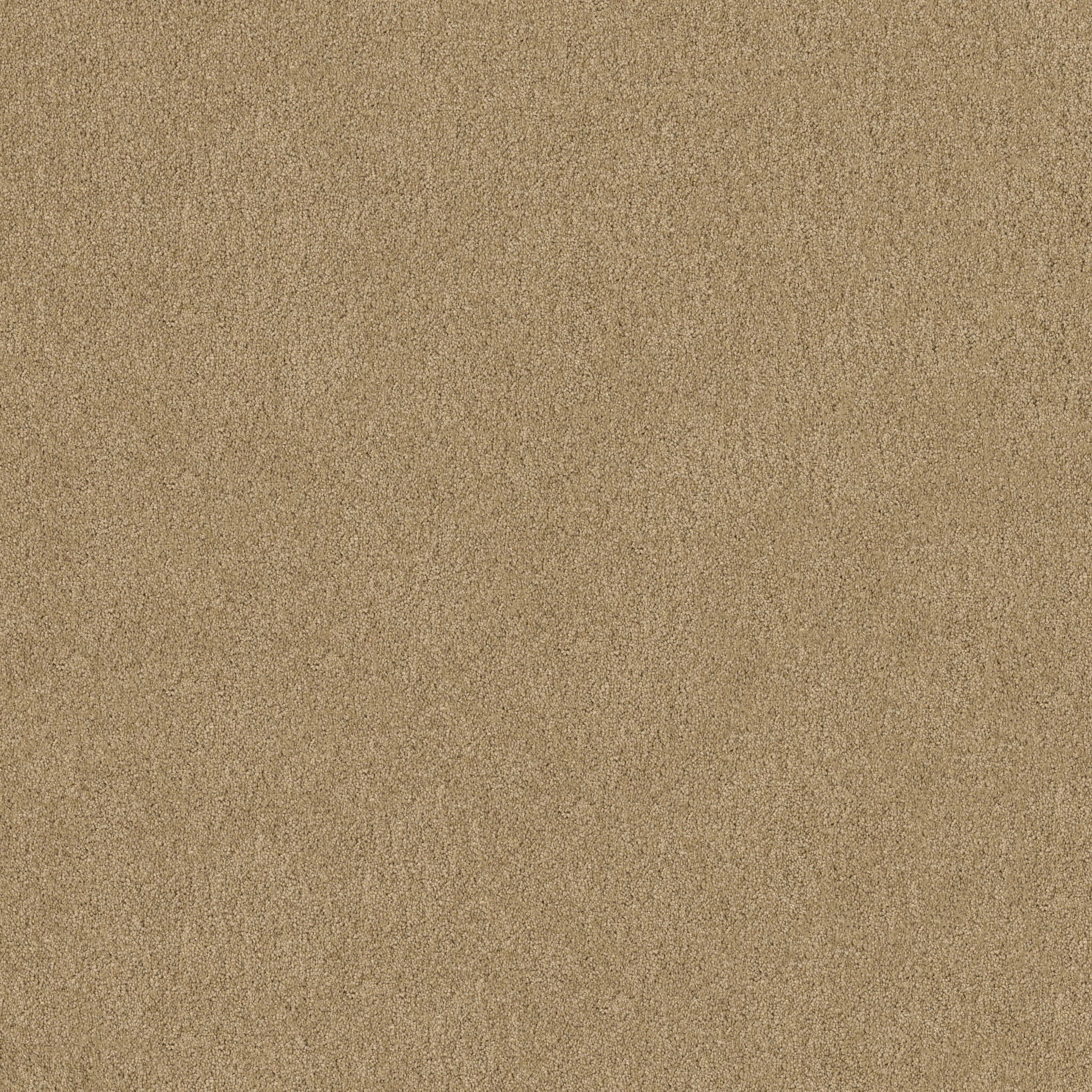 Papermate I-Macadamia-ZL814_00232