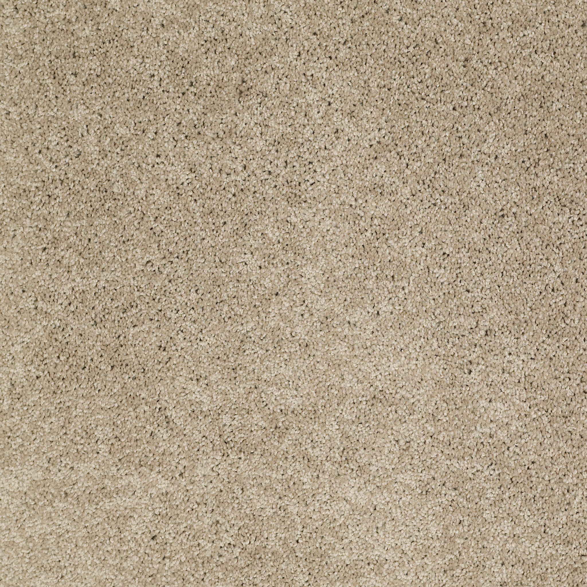 Papermate I-Oyster-ZL814_00513