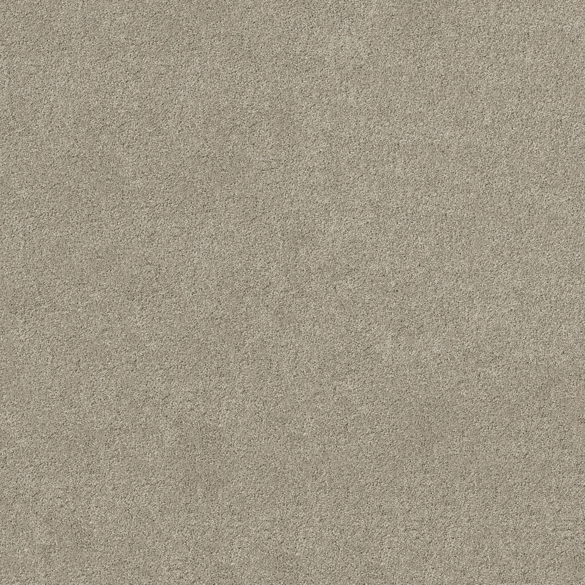 Papermate I-Silver Leaf-ZL814_00541