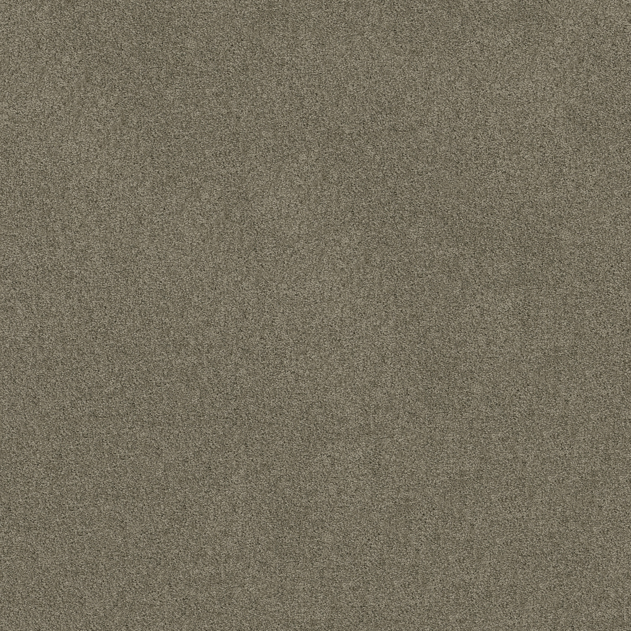 Papermate I-Wild Dove-ZL814_00555