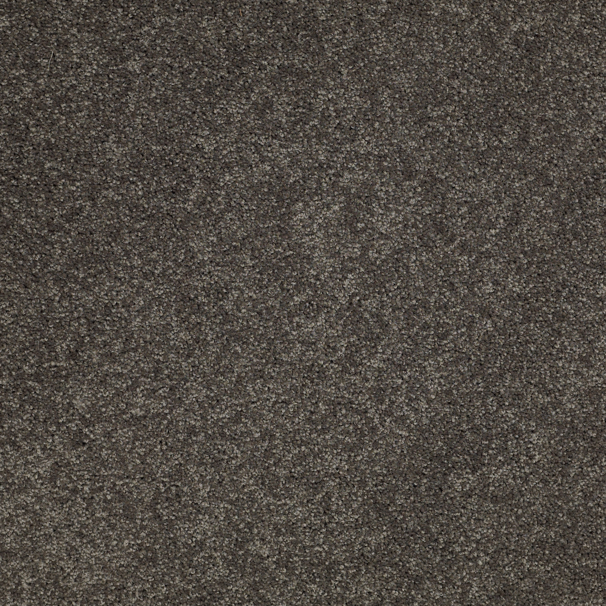 Papermate I-Smoked Pearl-ZL814_00559