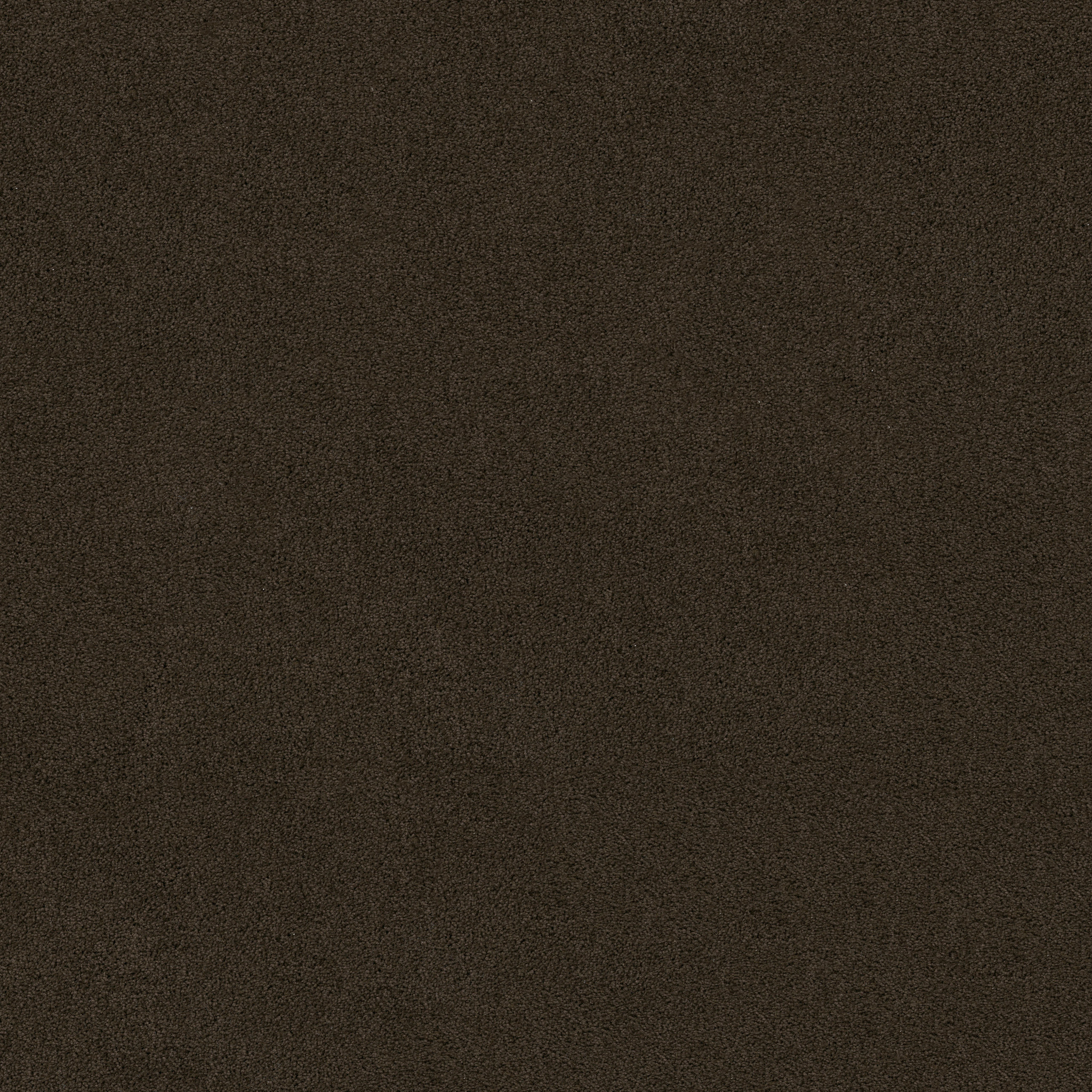 Papermate I - Woodridge - ZL814_00779