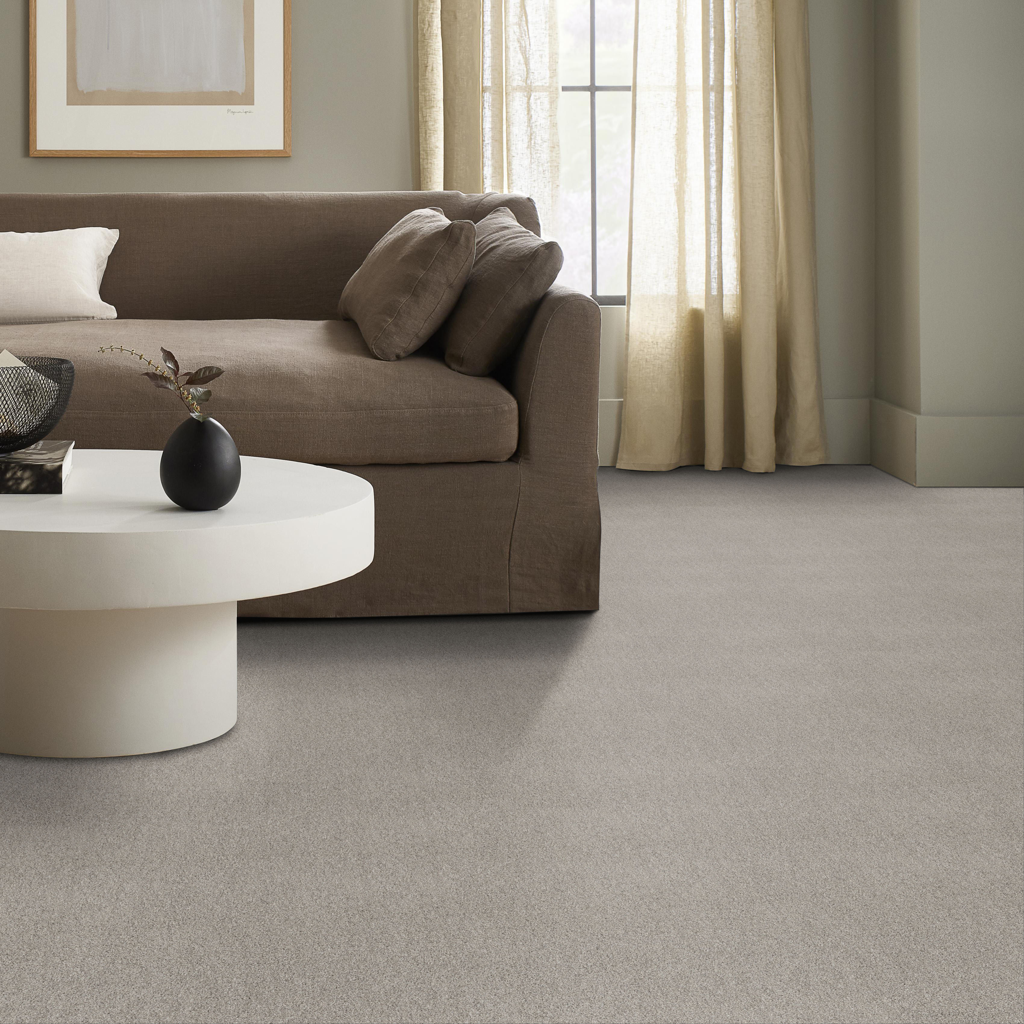 ACADIA PARK SILVER SCREEN ROOM