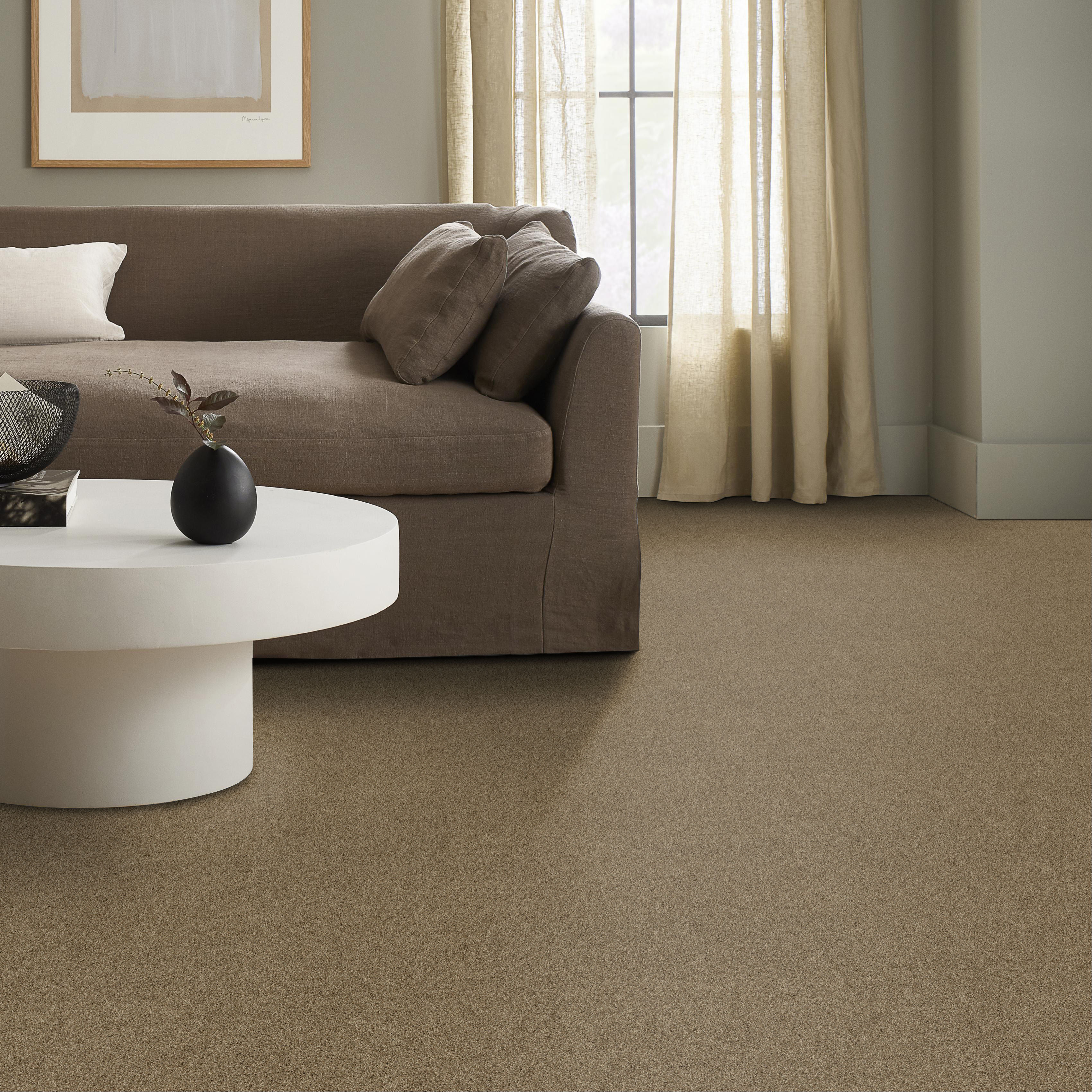 ACADIA PARK LODGE ROOM