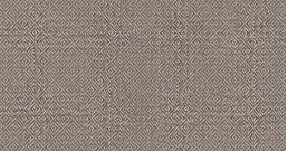 Stroll - 100% ANSO® High Performance Nylon in Hazelwood Stroll - 100% ANSO® High Performance Nylon in Hazelwood