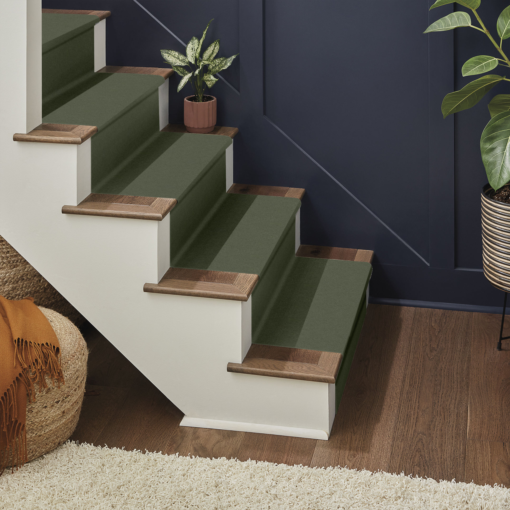 PERFECT CHOICE DYNASTY GREEN ROOM