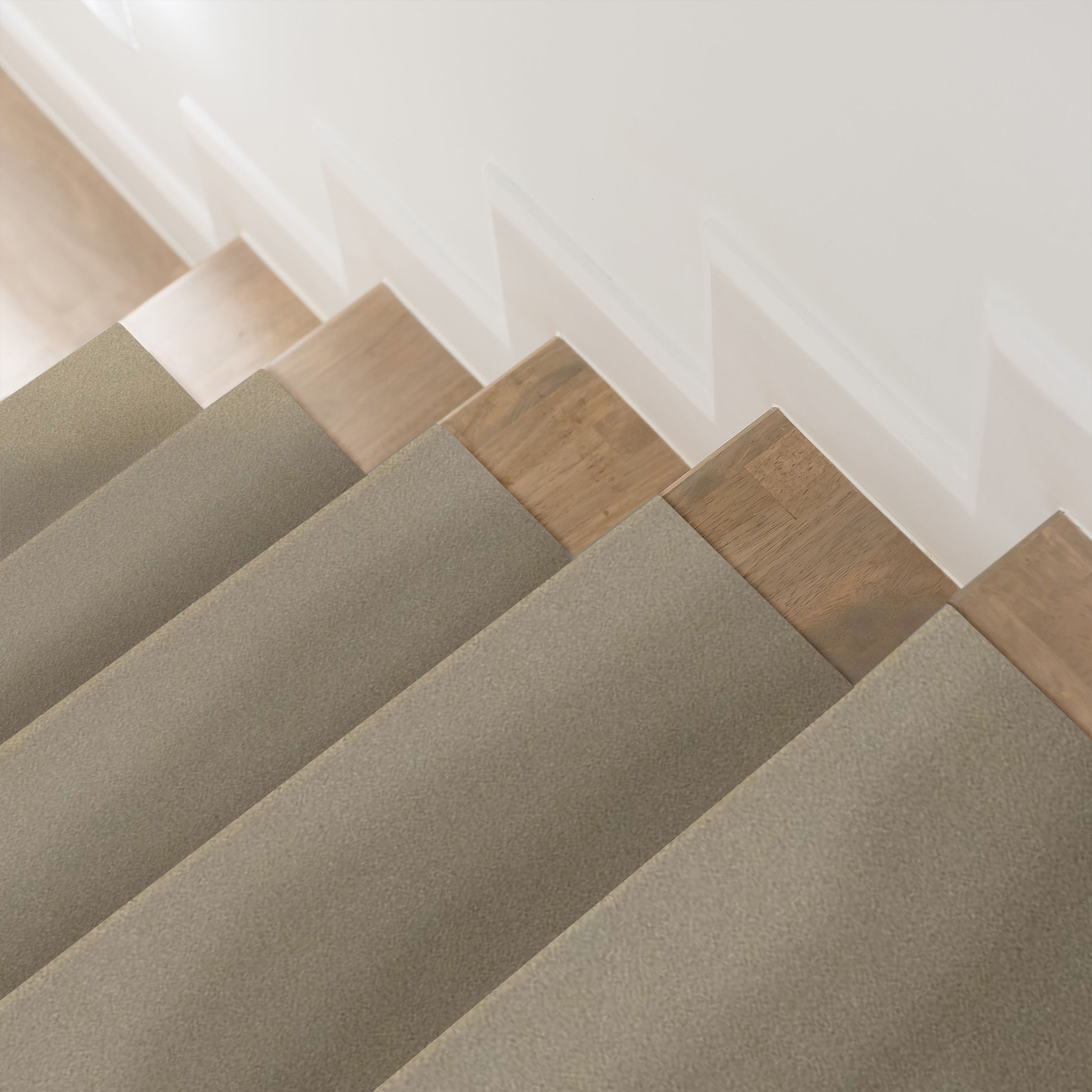 PERFECT CHOICE ELEPHANT EAR ROOM