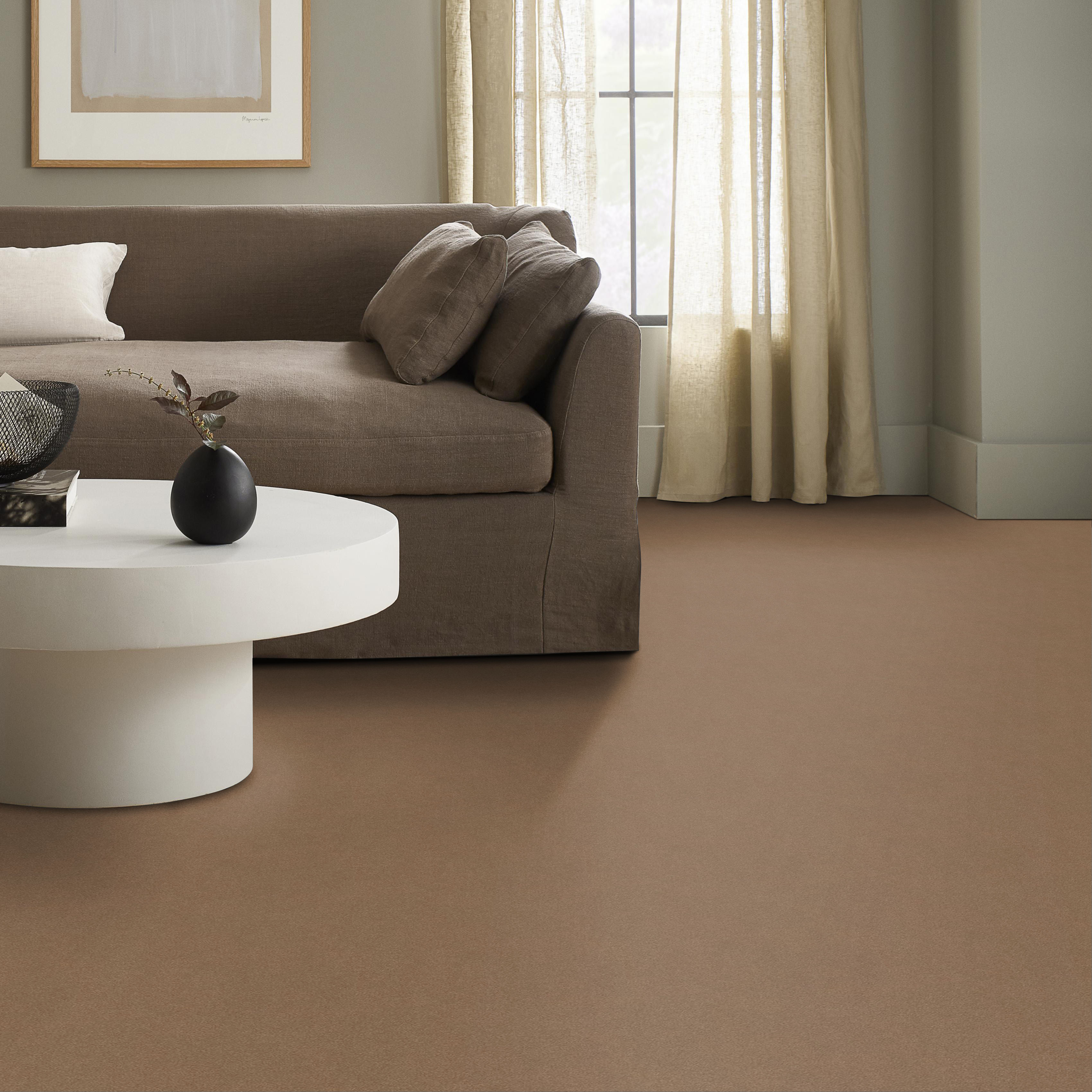 PERFECT CHOICE MYSTIC BROWN ROOM in room