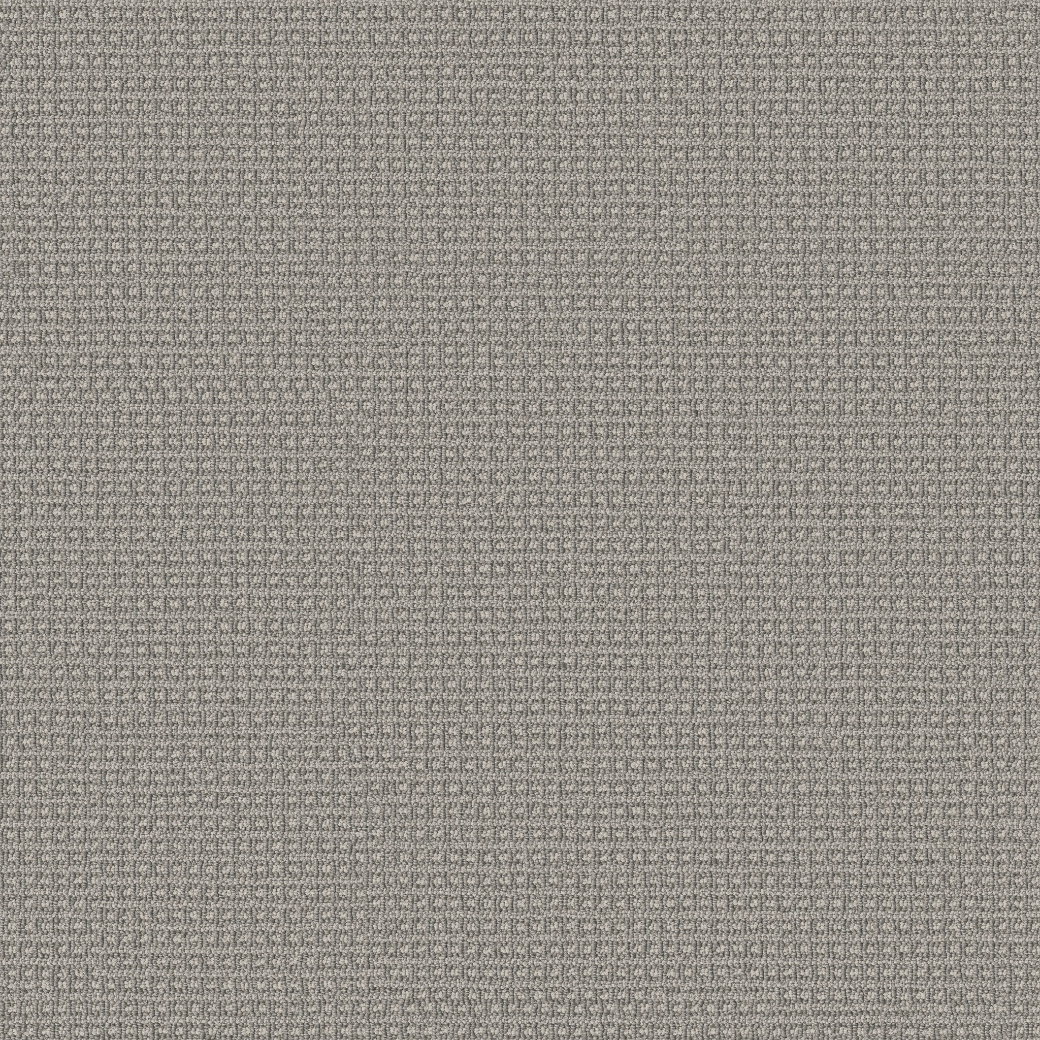 Fetch Broadloom Carpet in Briarwood color, 12ft width, 100% nylon material