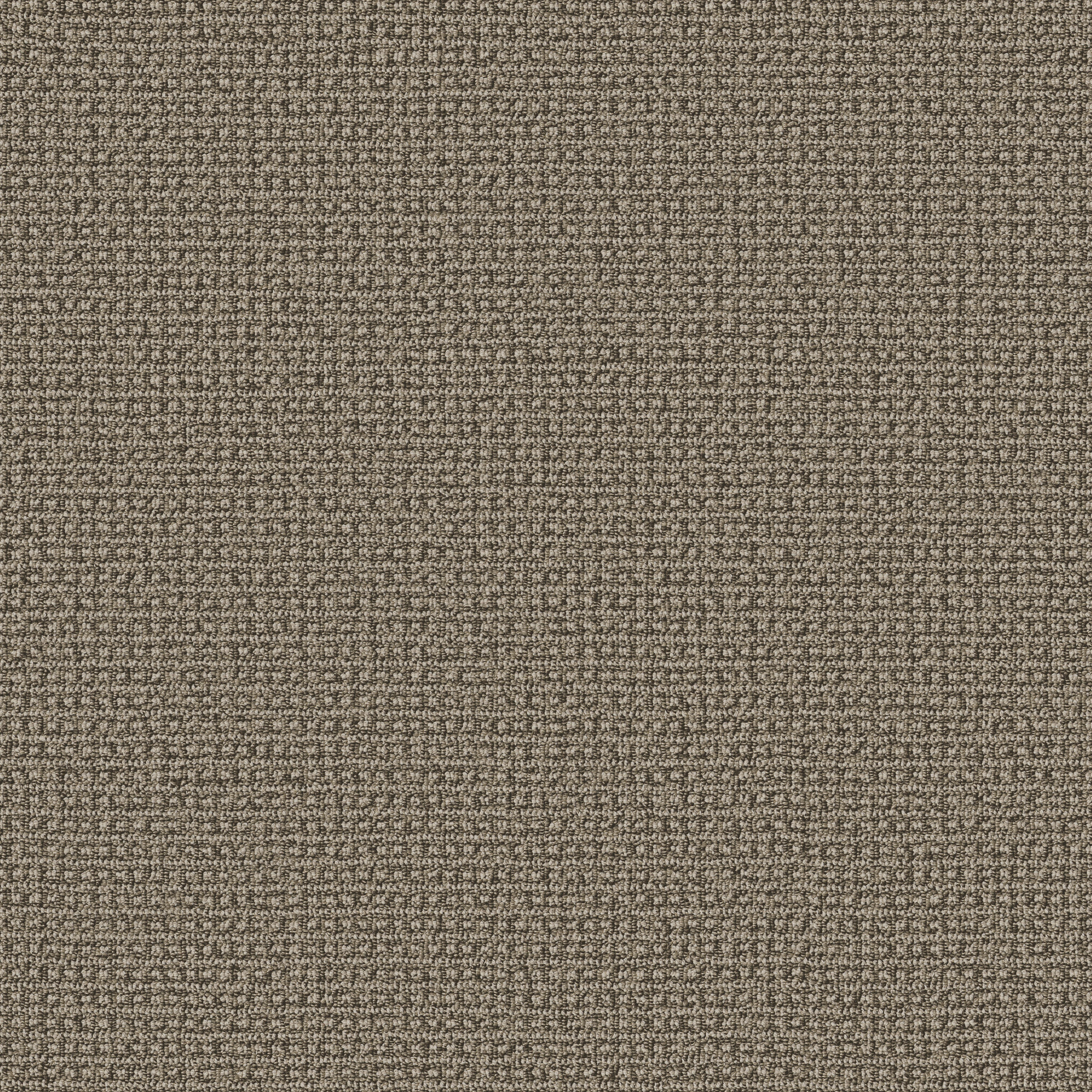 Fetch - Carpet & Rugs in Desert Palm | AndersonTuftex