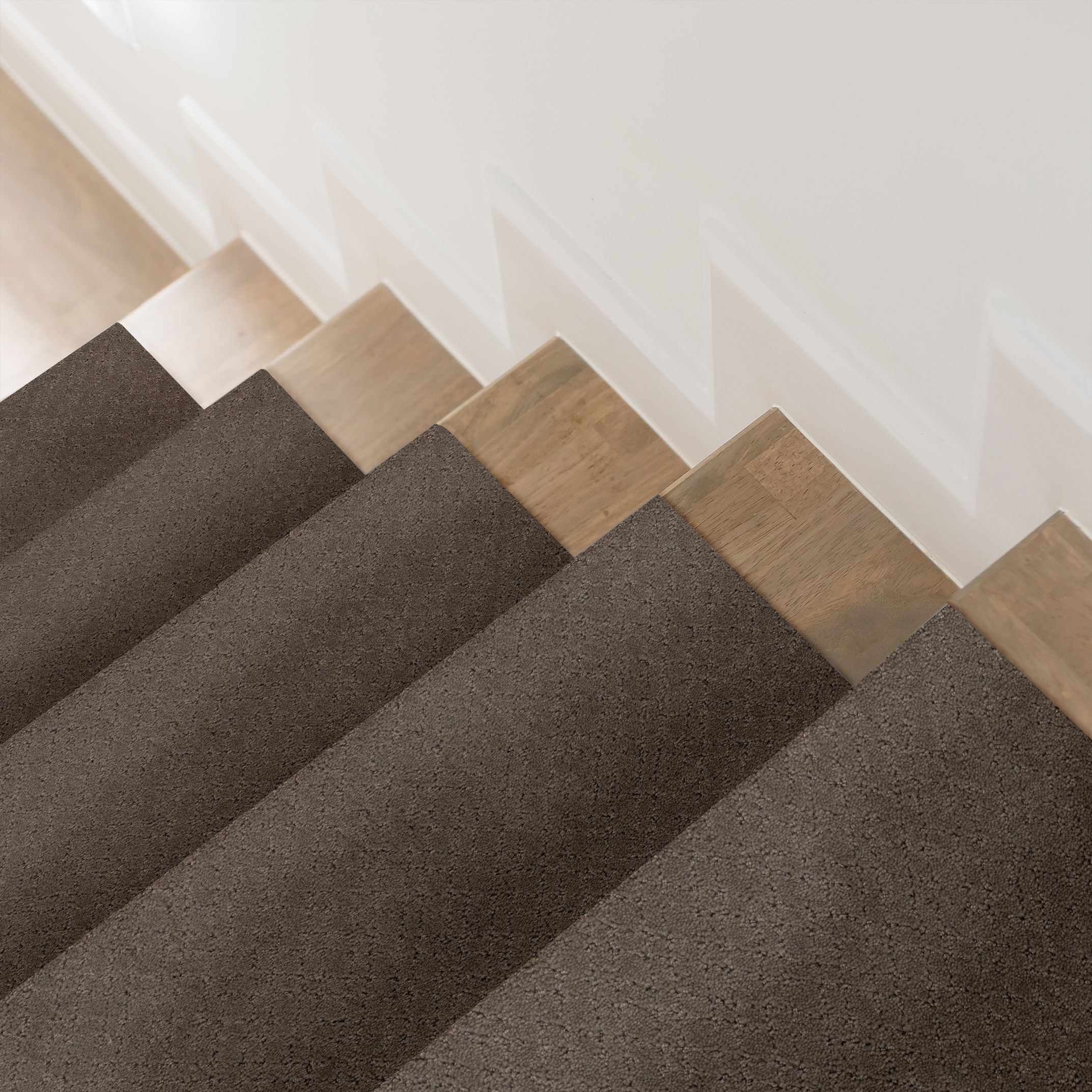 MOSAIC CHANTRELLE ROOM