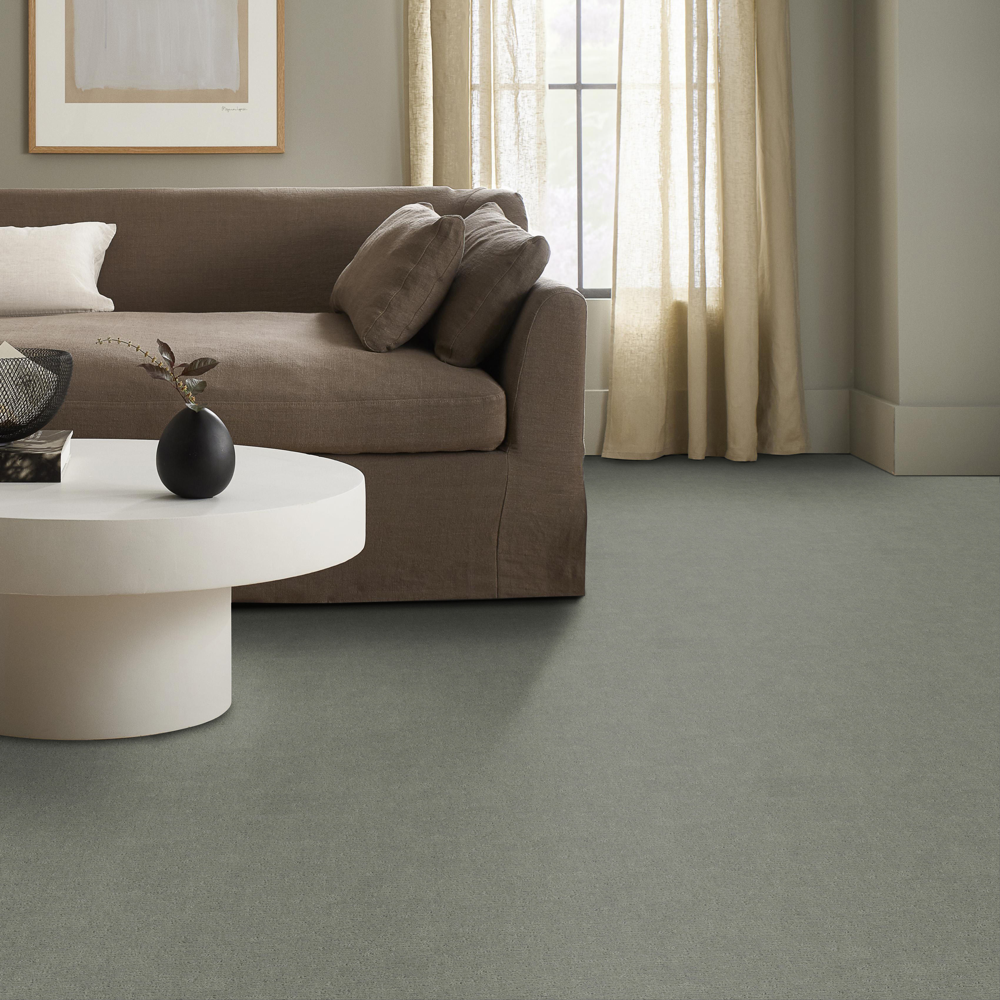 SKETCH PINE FOREST ROOM in room