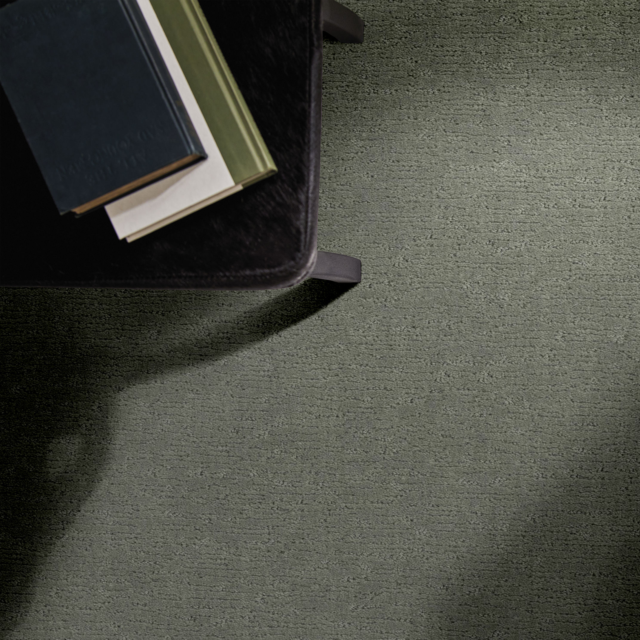 SKETCH PINE FOREST ROOM