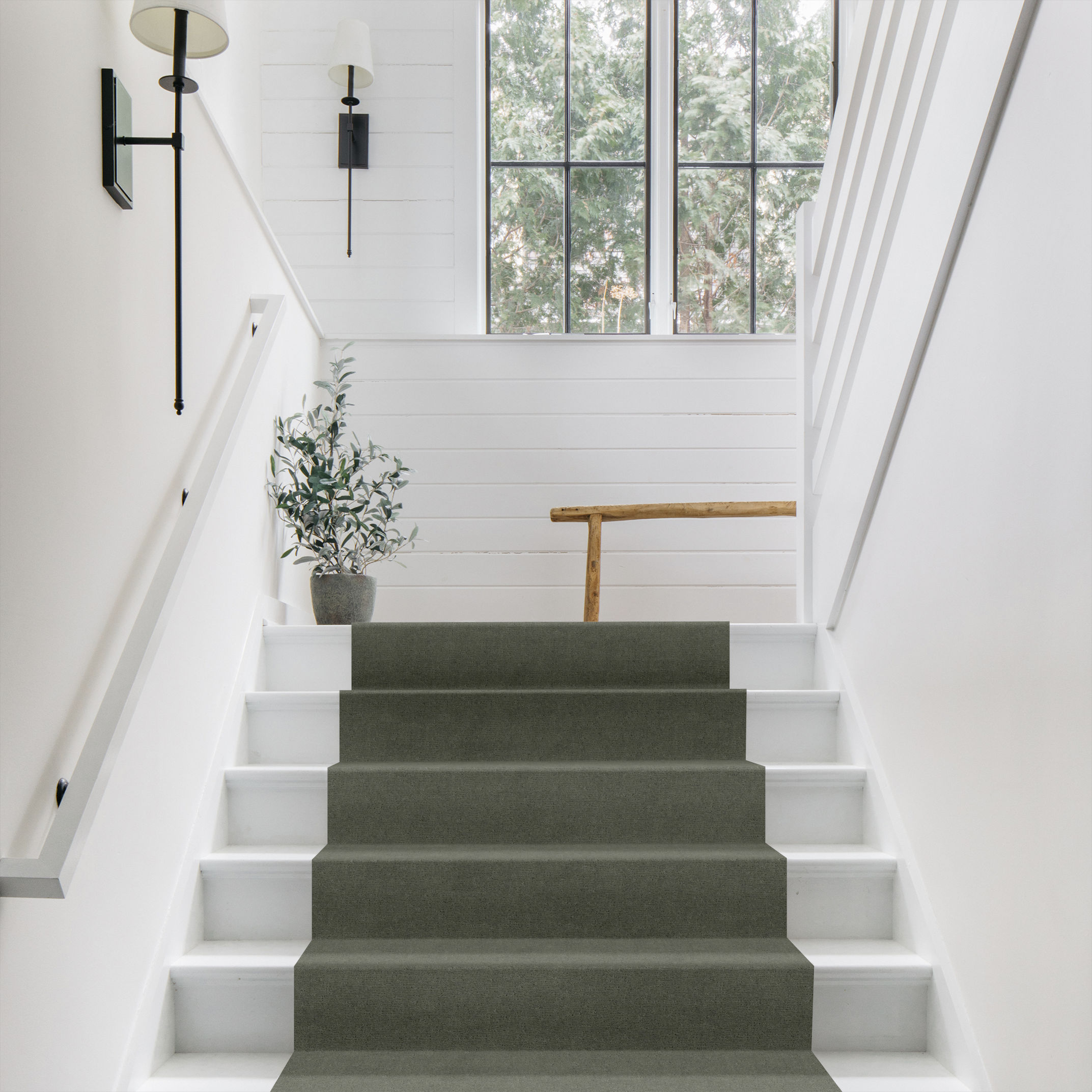 SKETCH PINE FOREST ROOM