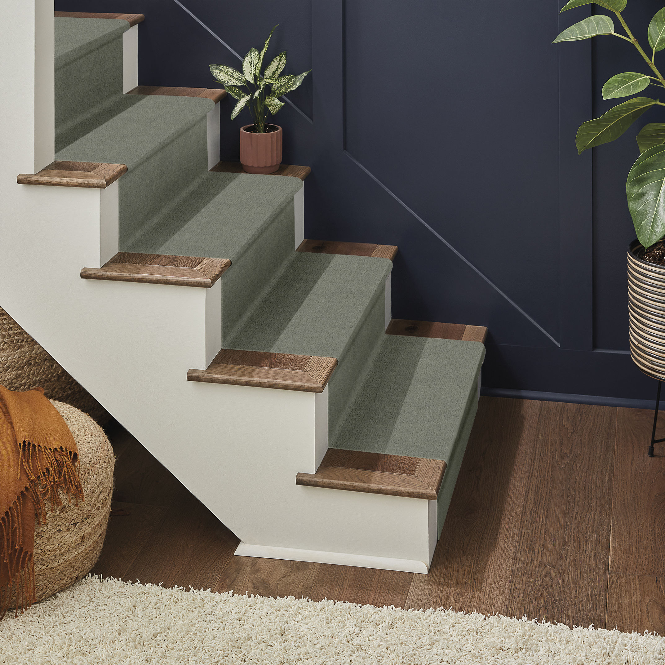 SKETCH PINE FOREST ROOM