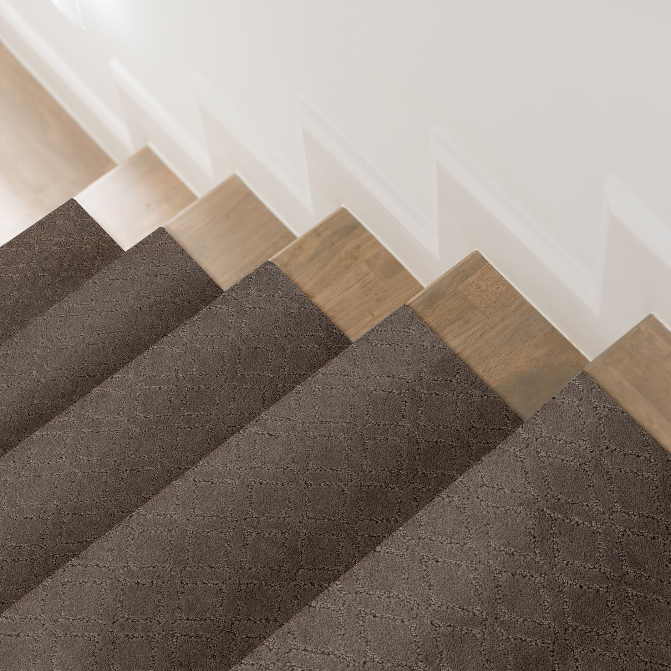 MUSE CHANTRELLE ROOM