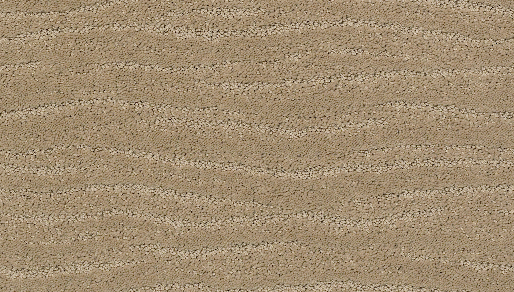 Pose 100 Bcf Nylon Carpets in Coronado ZZ07900115 AndersonTuftex