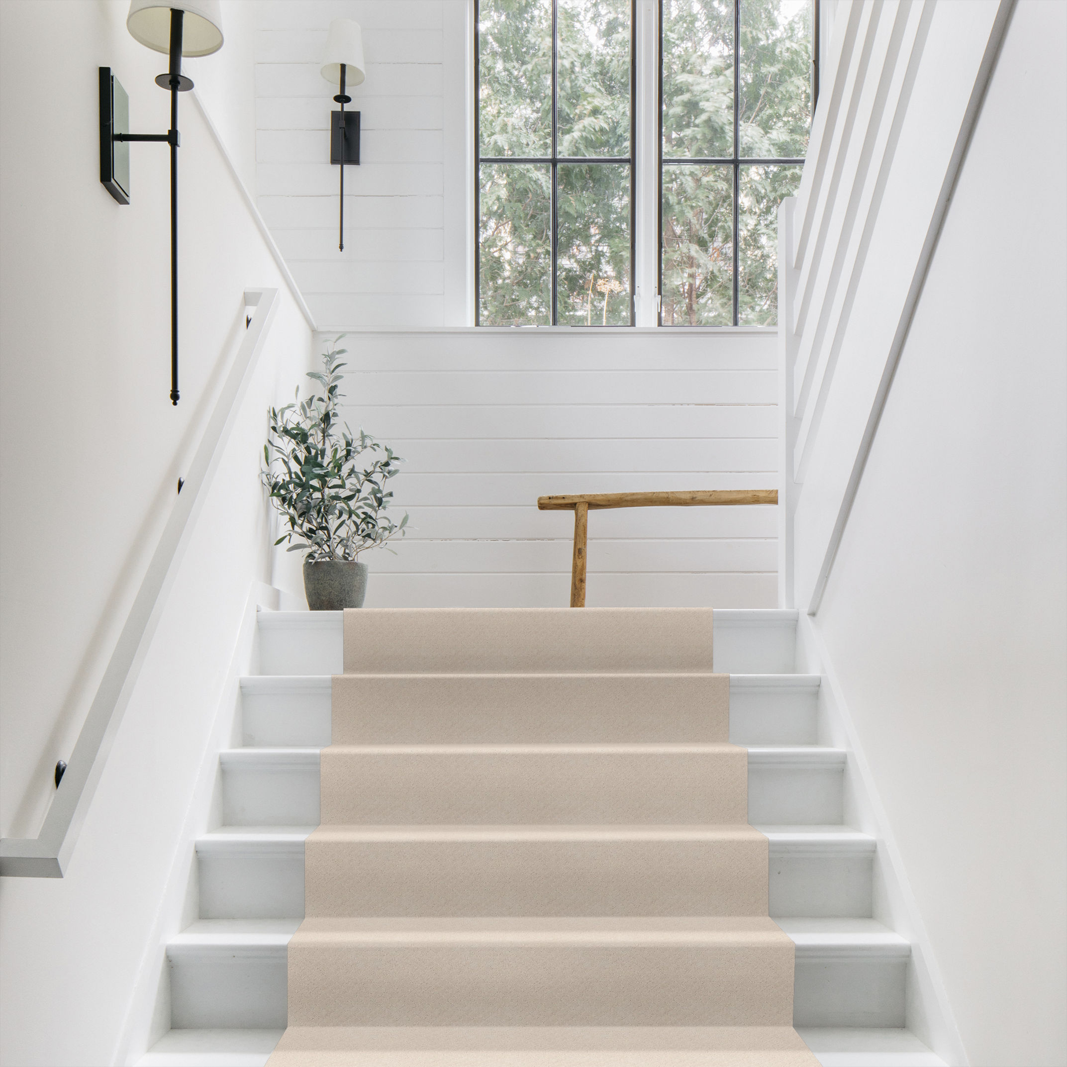 PAWNACHE BARELY BEIGE ROOM