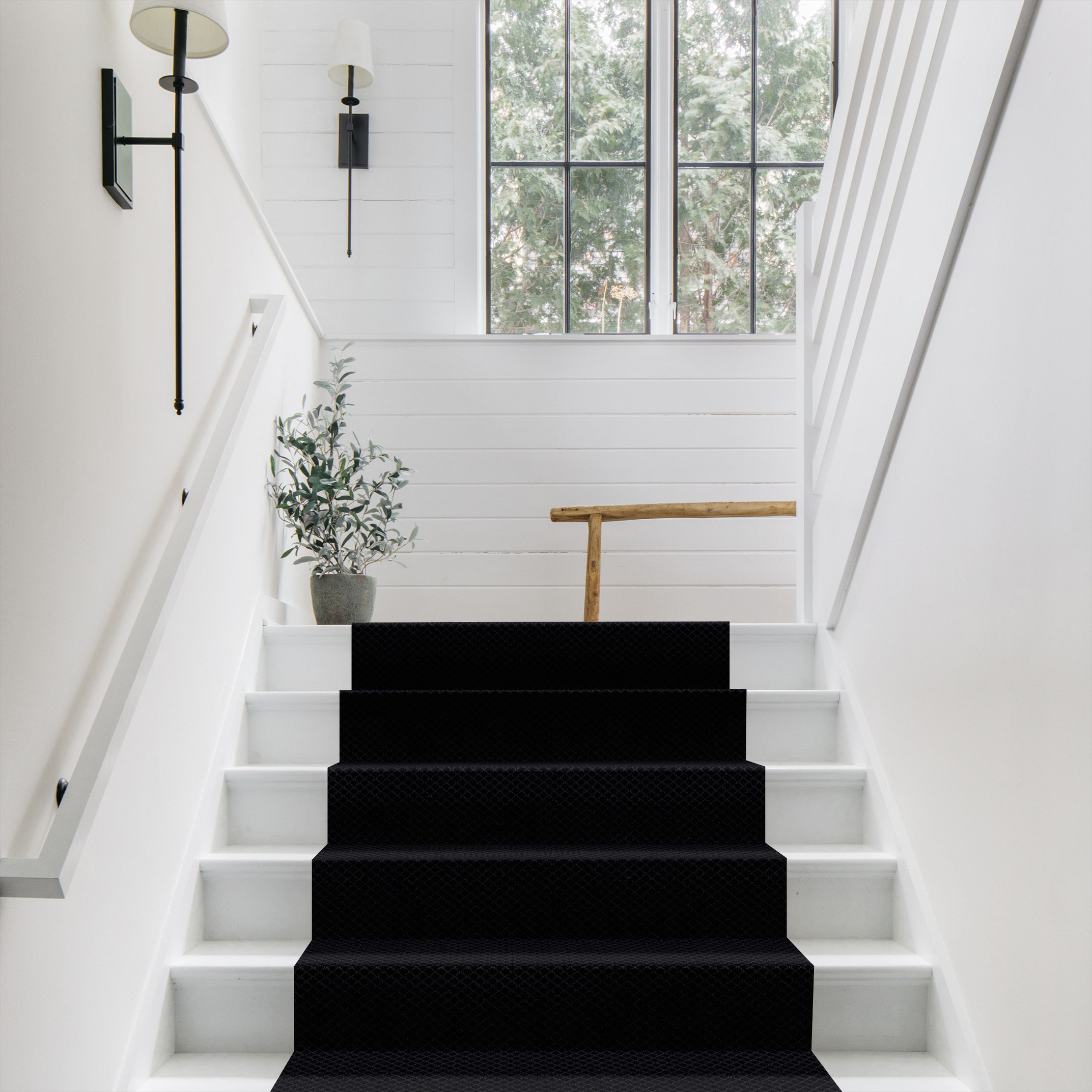 PAWNACHE NIGHT SHADE ROOM