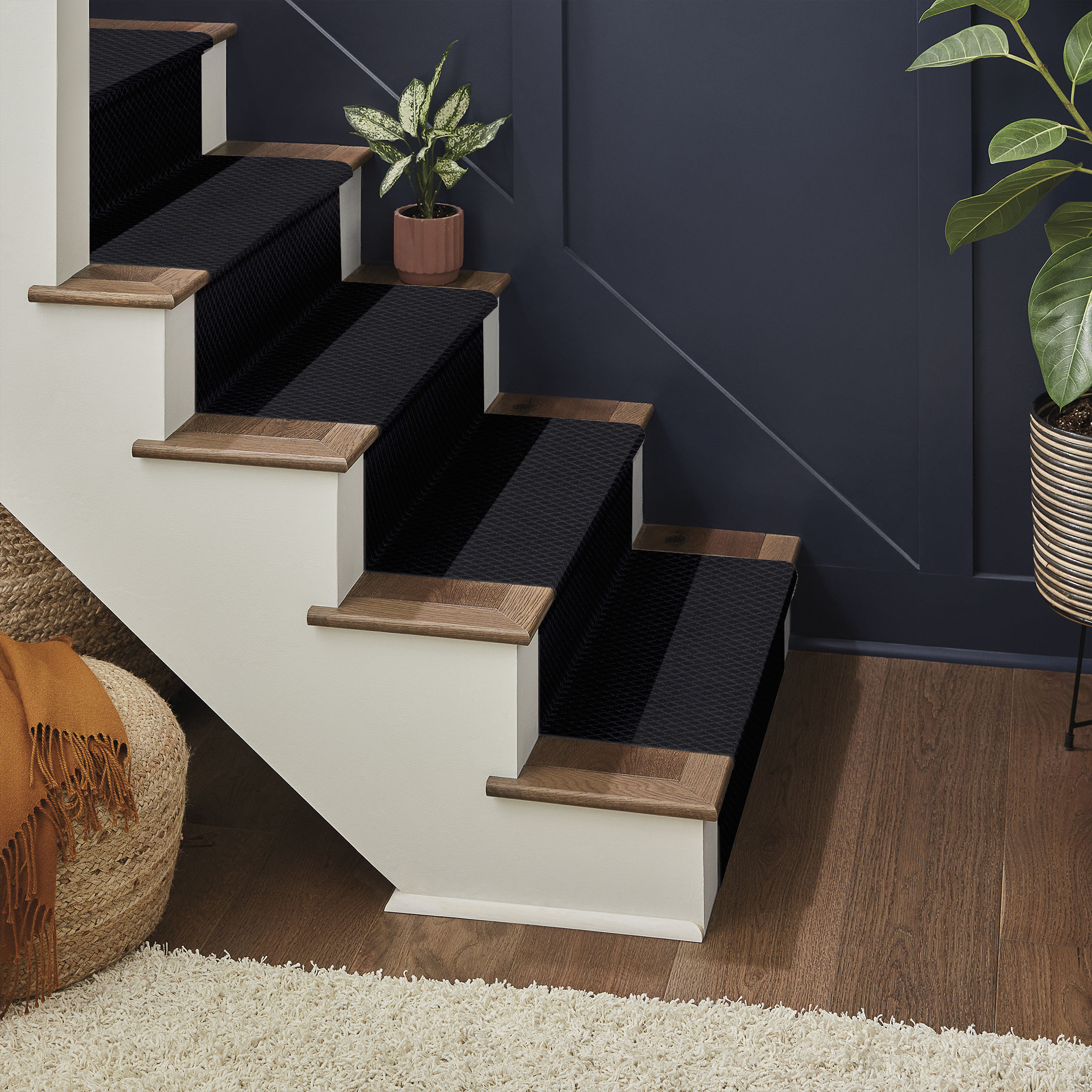 PAWNACHE NIGHT SHADE ROOM