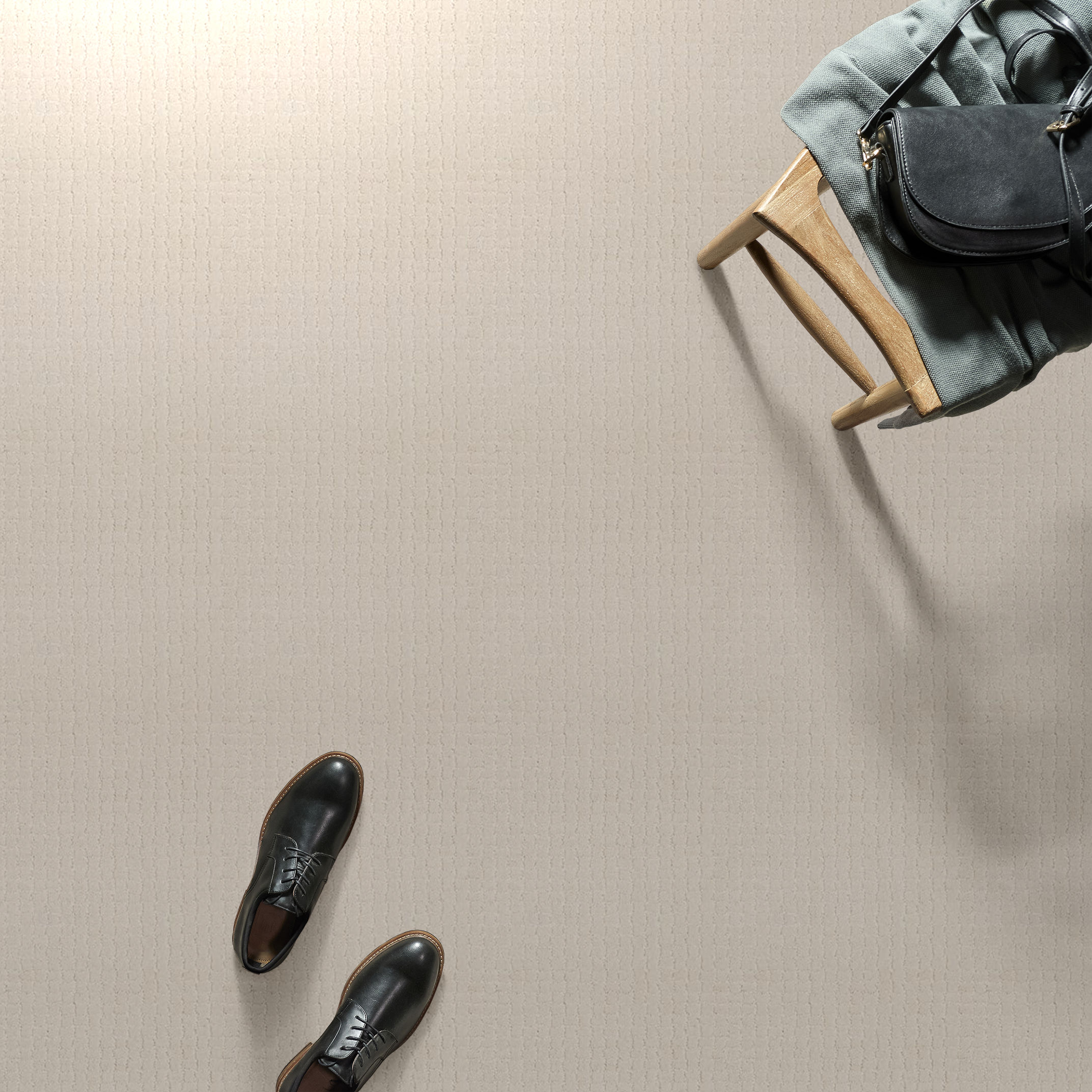 PAWSTRUCK BARELY BEIGE ROOM