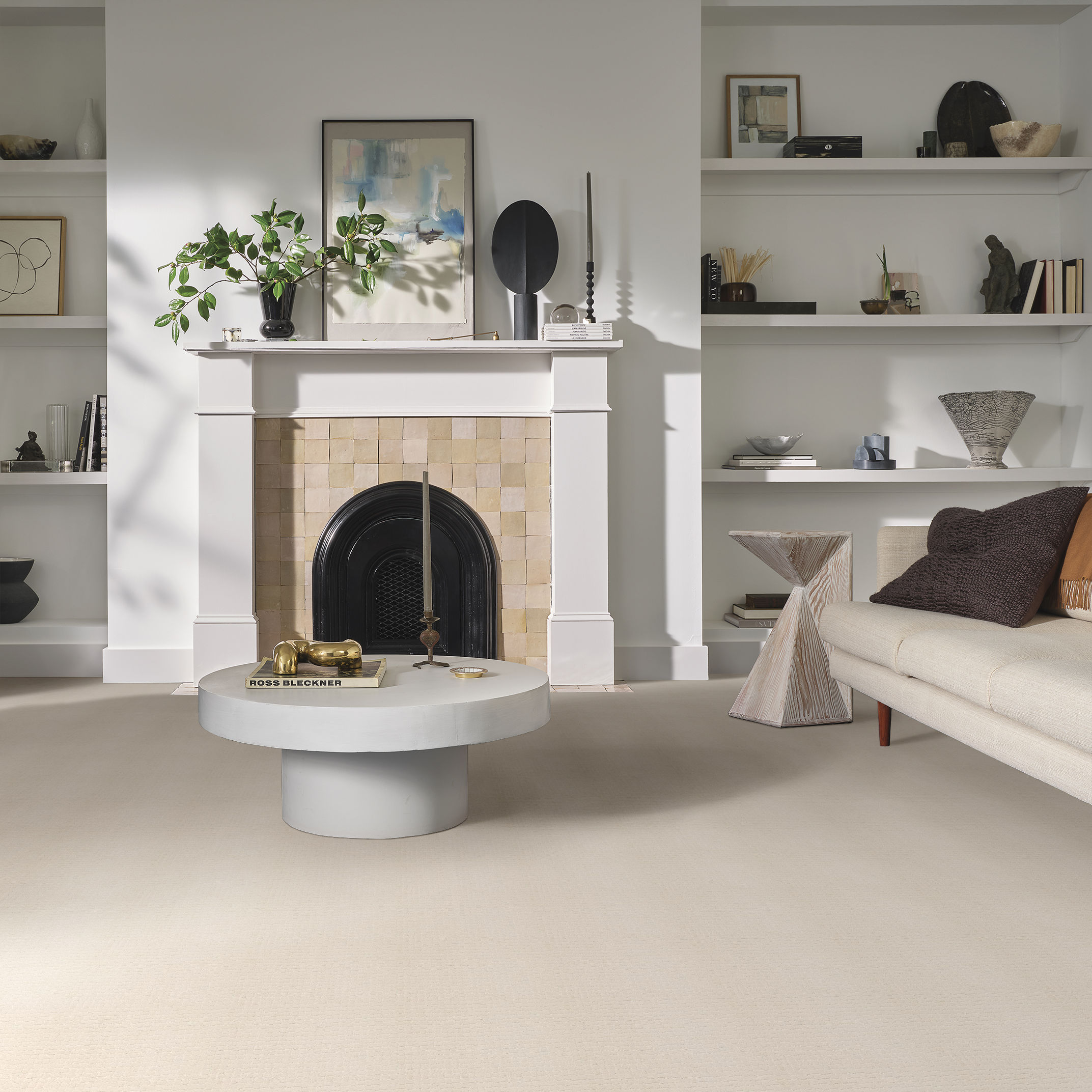 PAWSTRUCK BARELY BEIGE ROOM