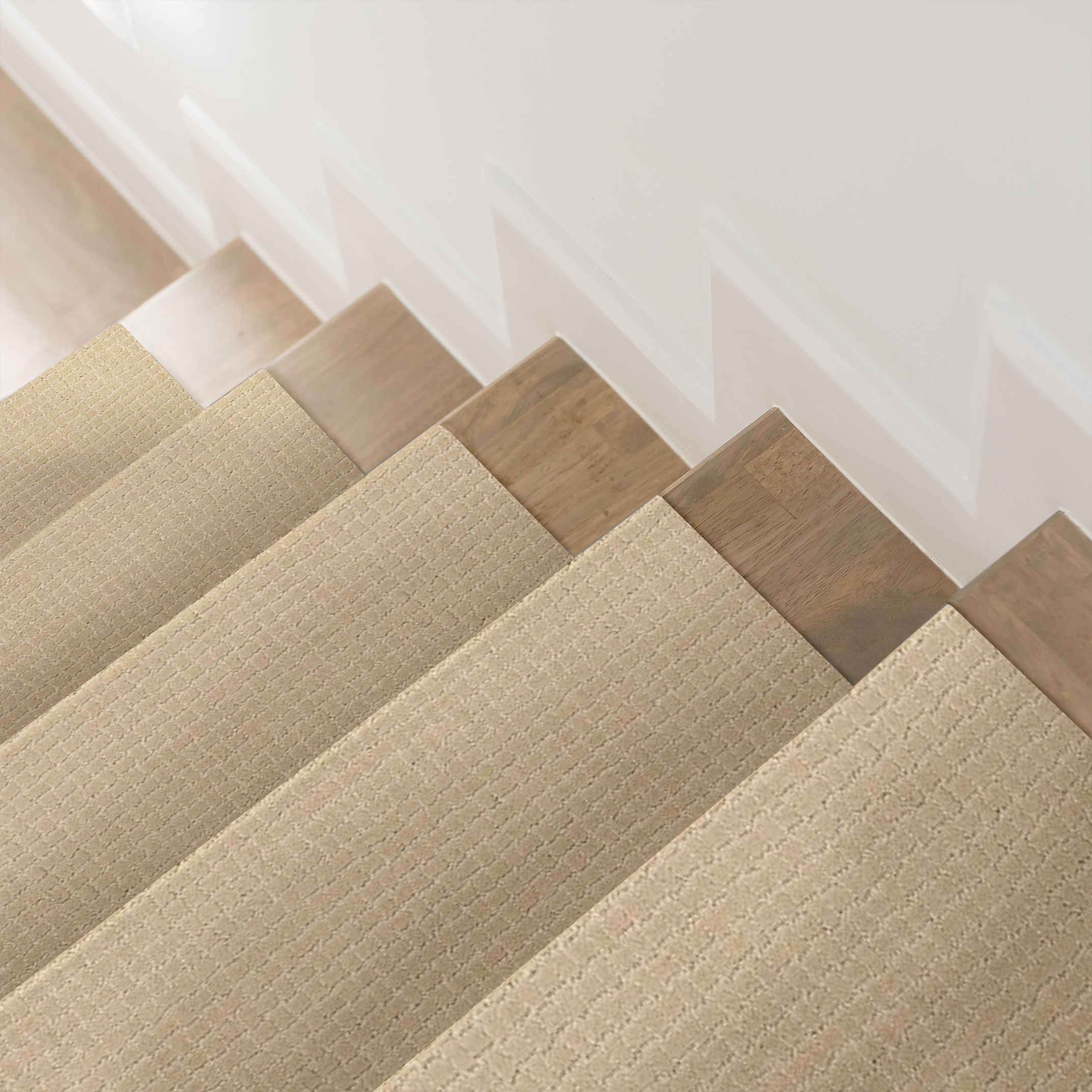 PAWSTRUCK HAZELNUT ROOM