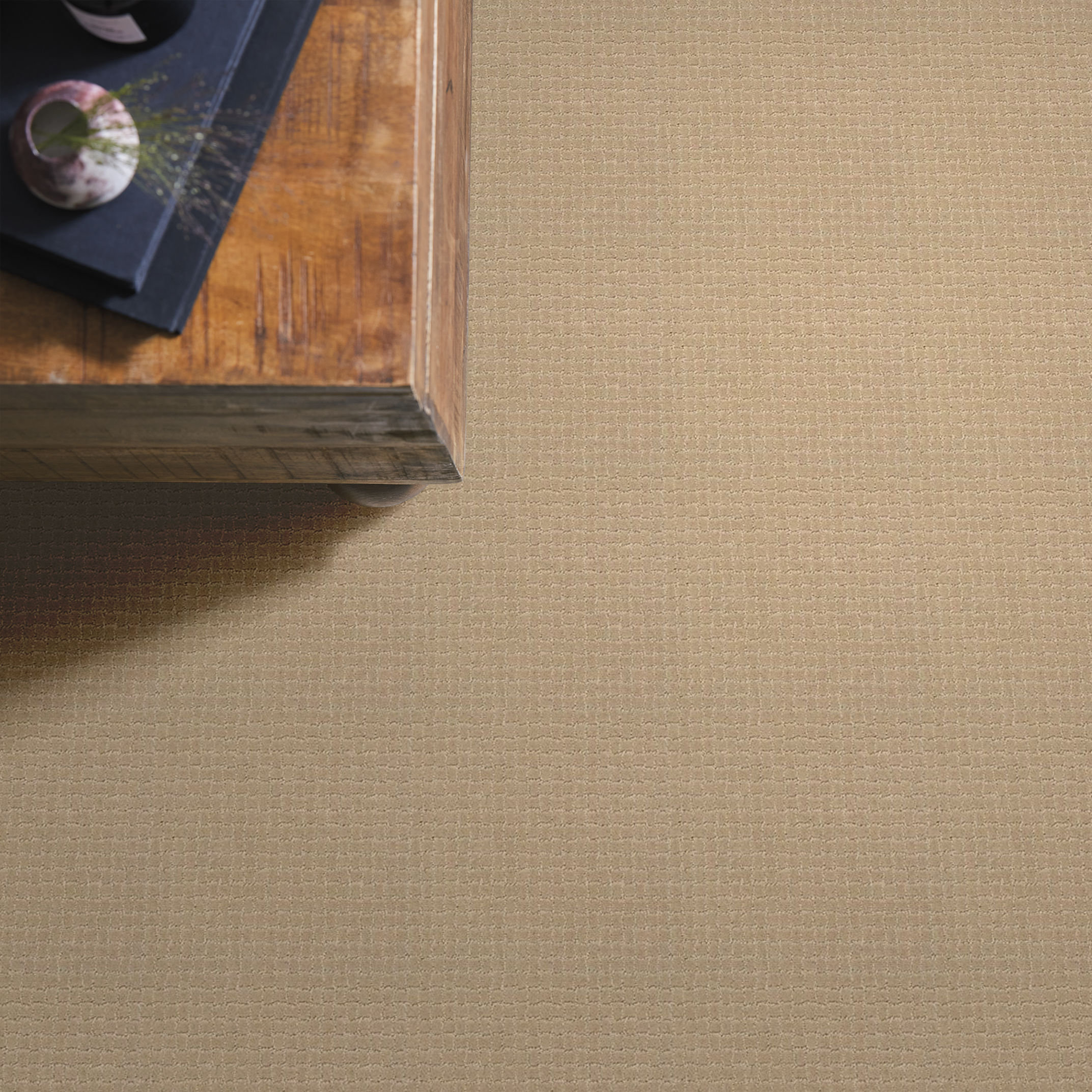 PAWSTRUCK MONTEREY ROOM