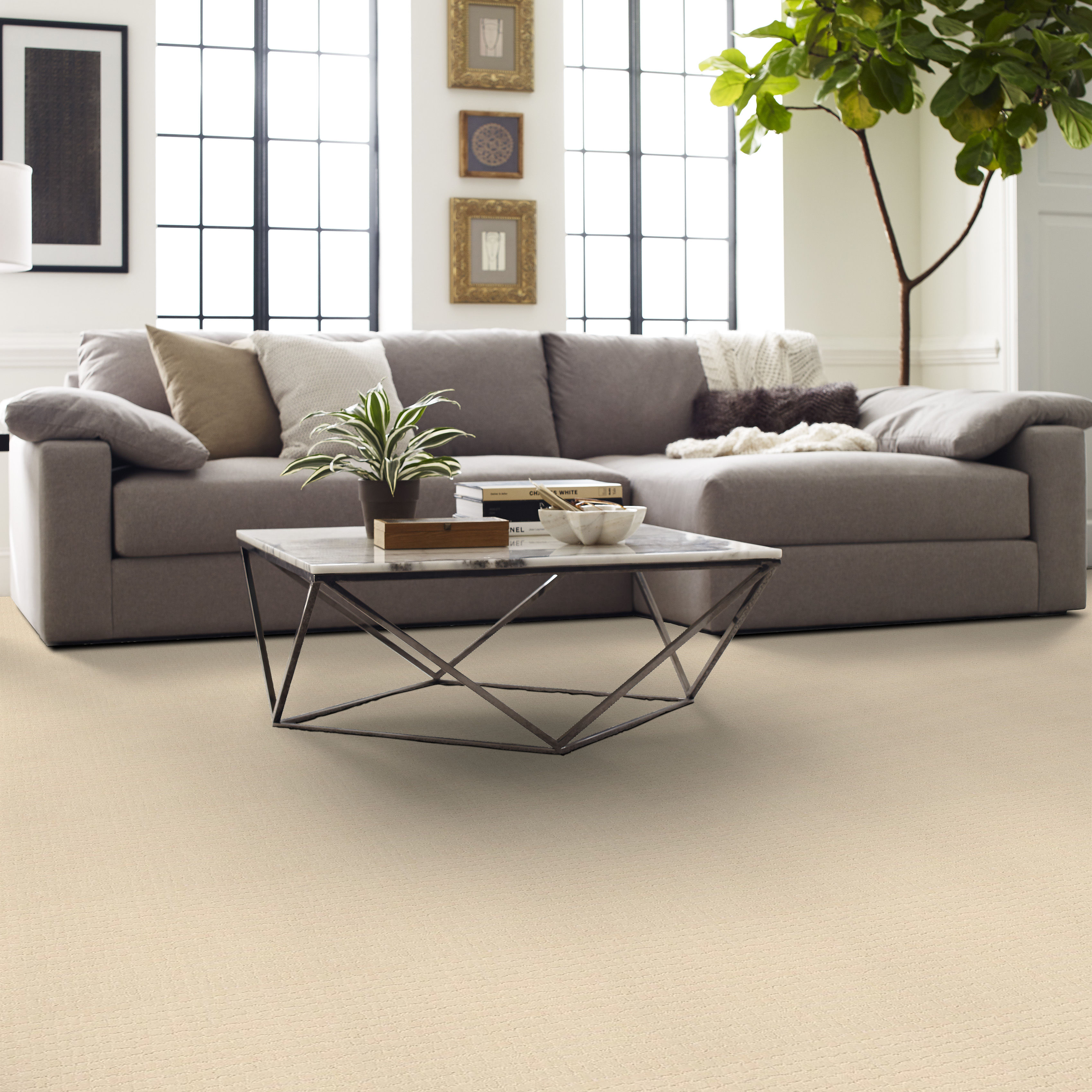 PAWSTRUCK ANTIQUITY ROOM in room