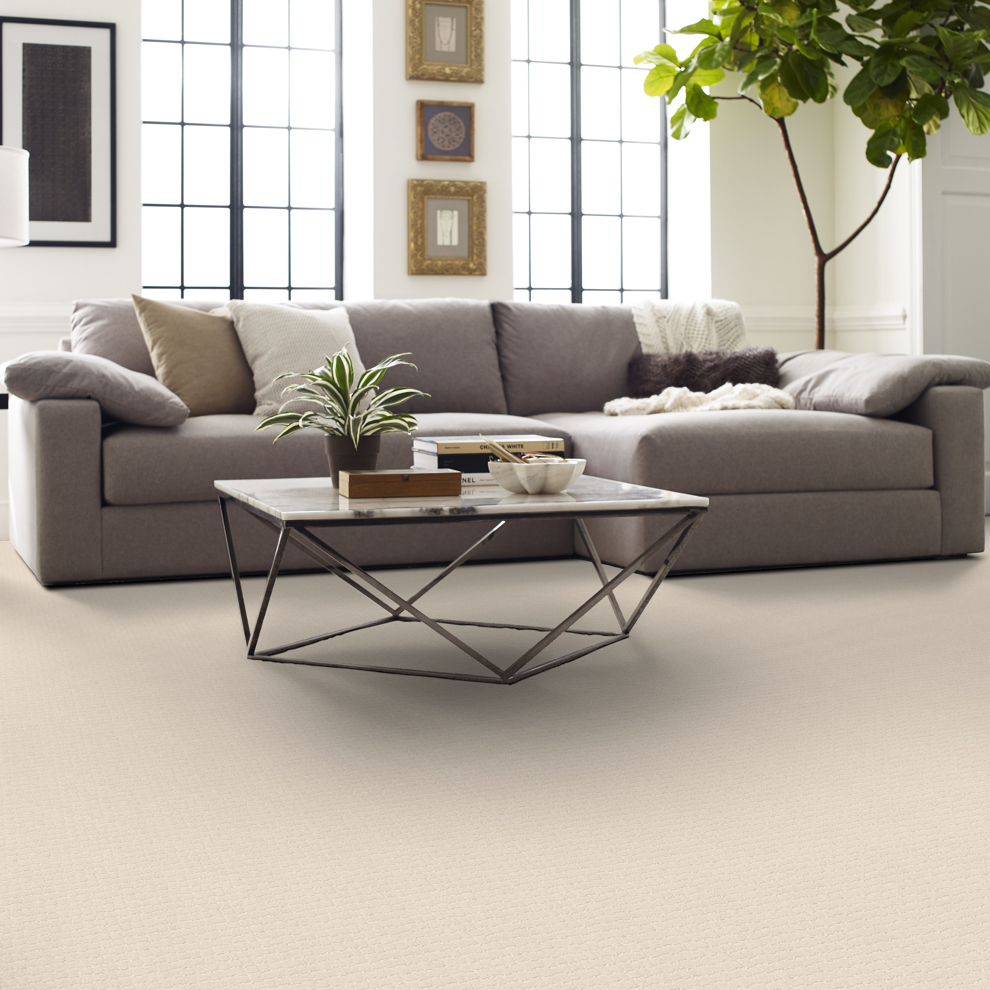 PAWSTRUCK CAPRI COAST ROOM in room