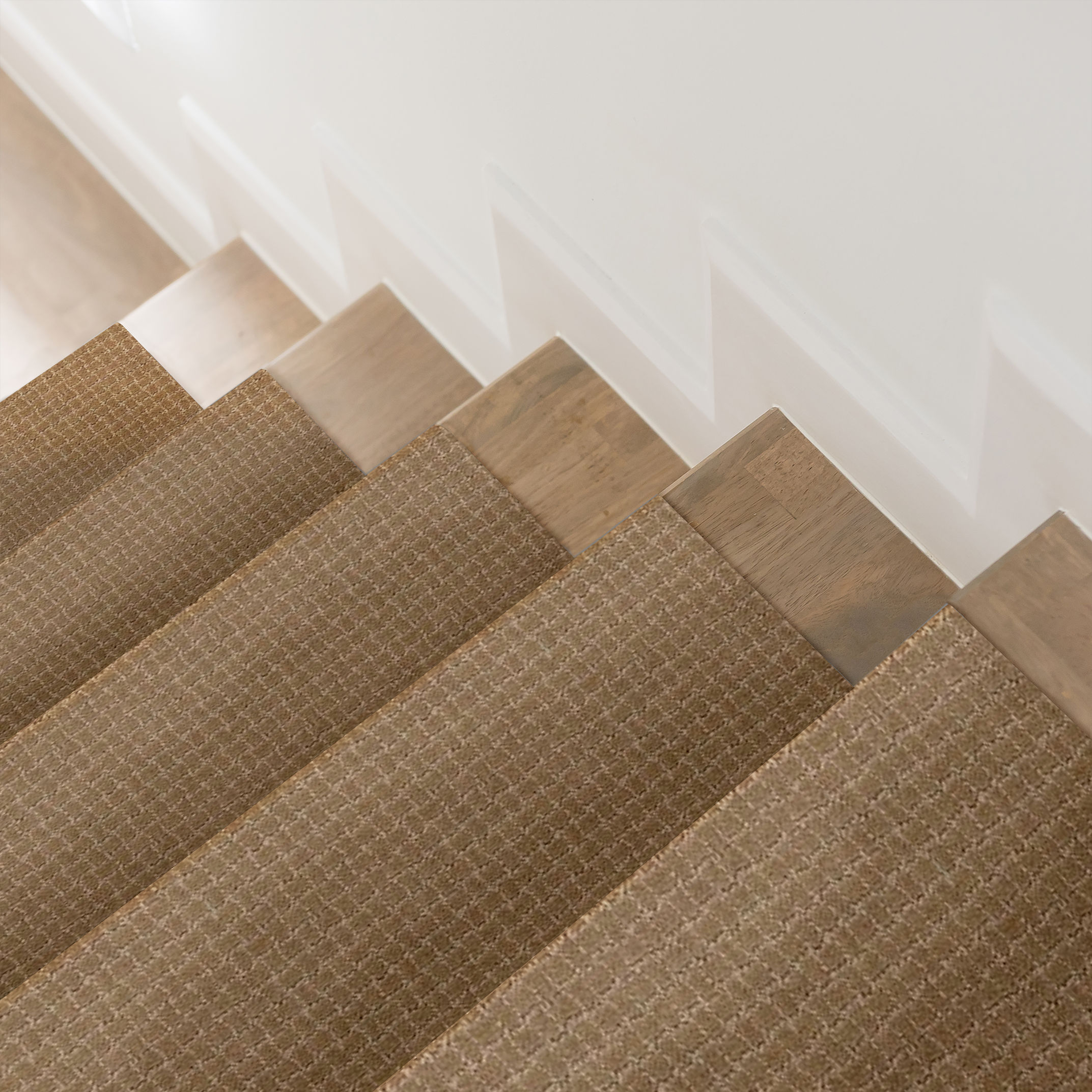 PAWSTRUCK PEANUT SHELL ROOM