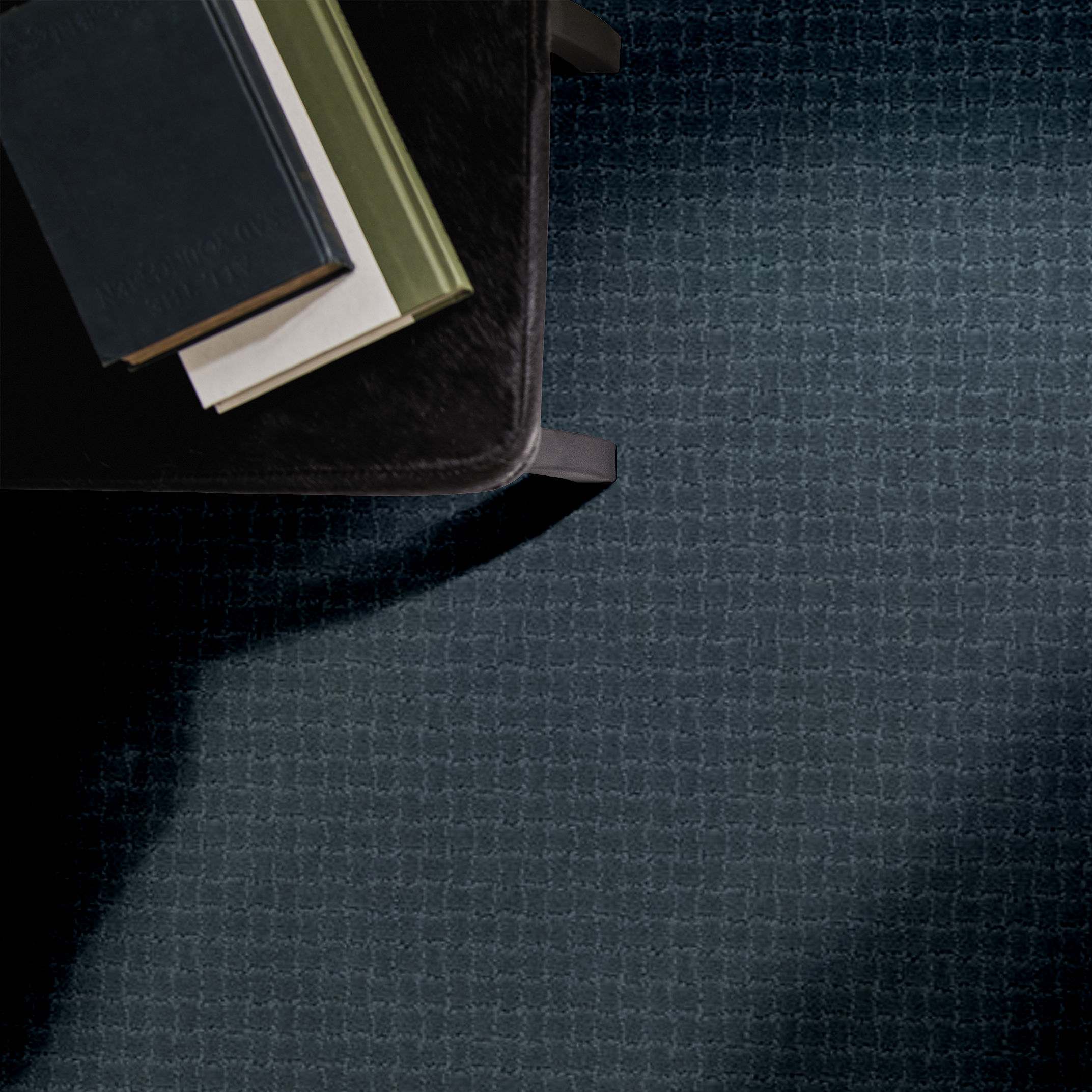 PAWSTRUCK NIMBUS ROOM