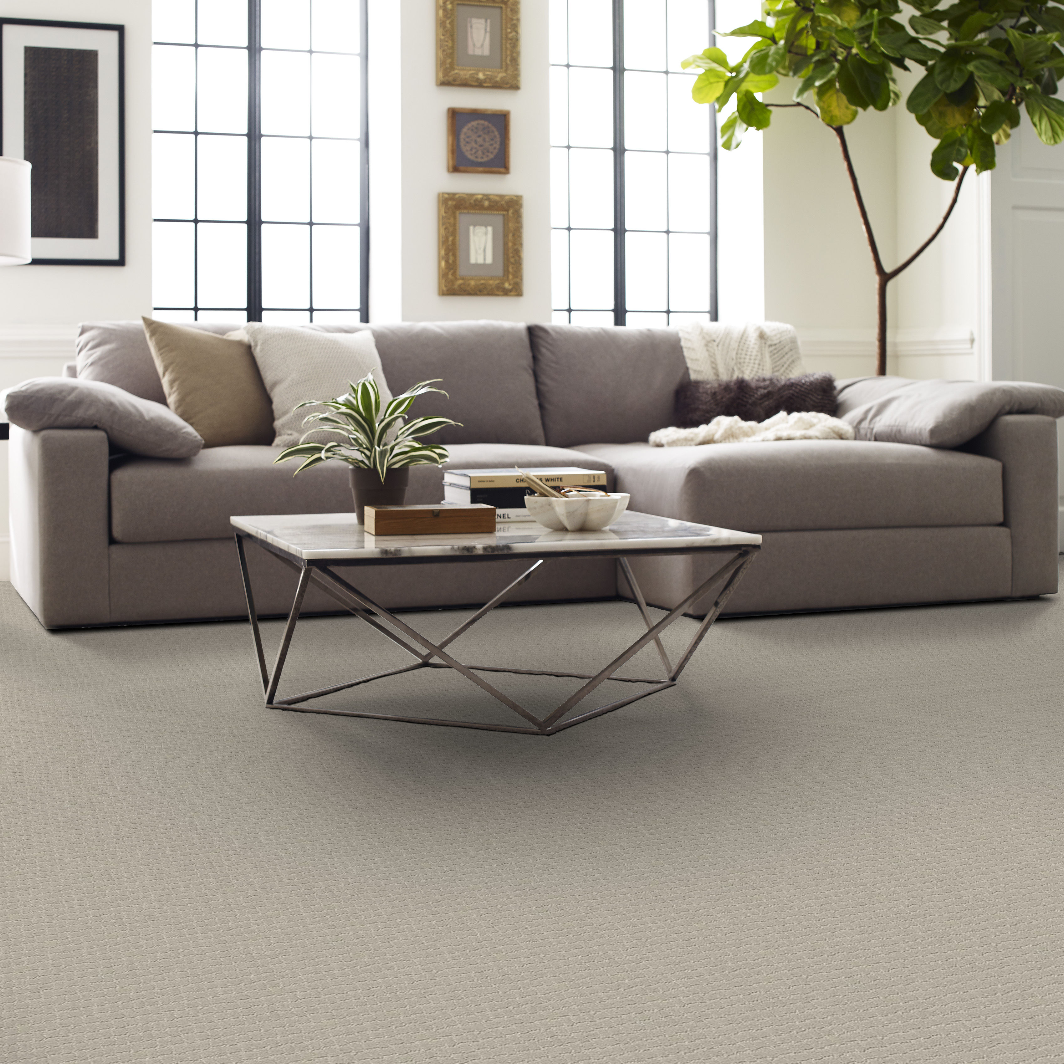 PAWSTRUCK SILVER FOX ROOM in room