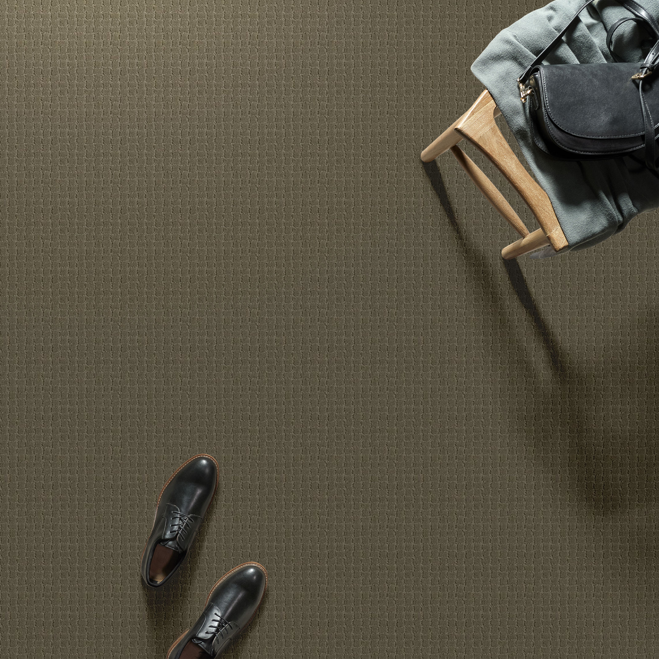 PAWSTRUCK DRY SAGE ROOM