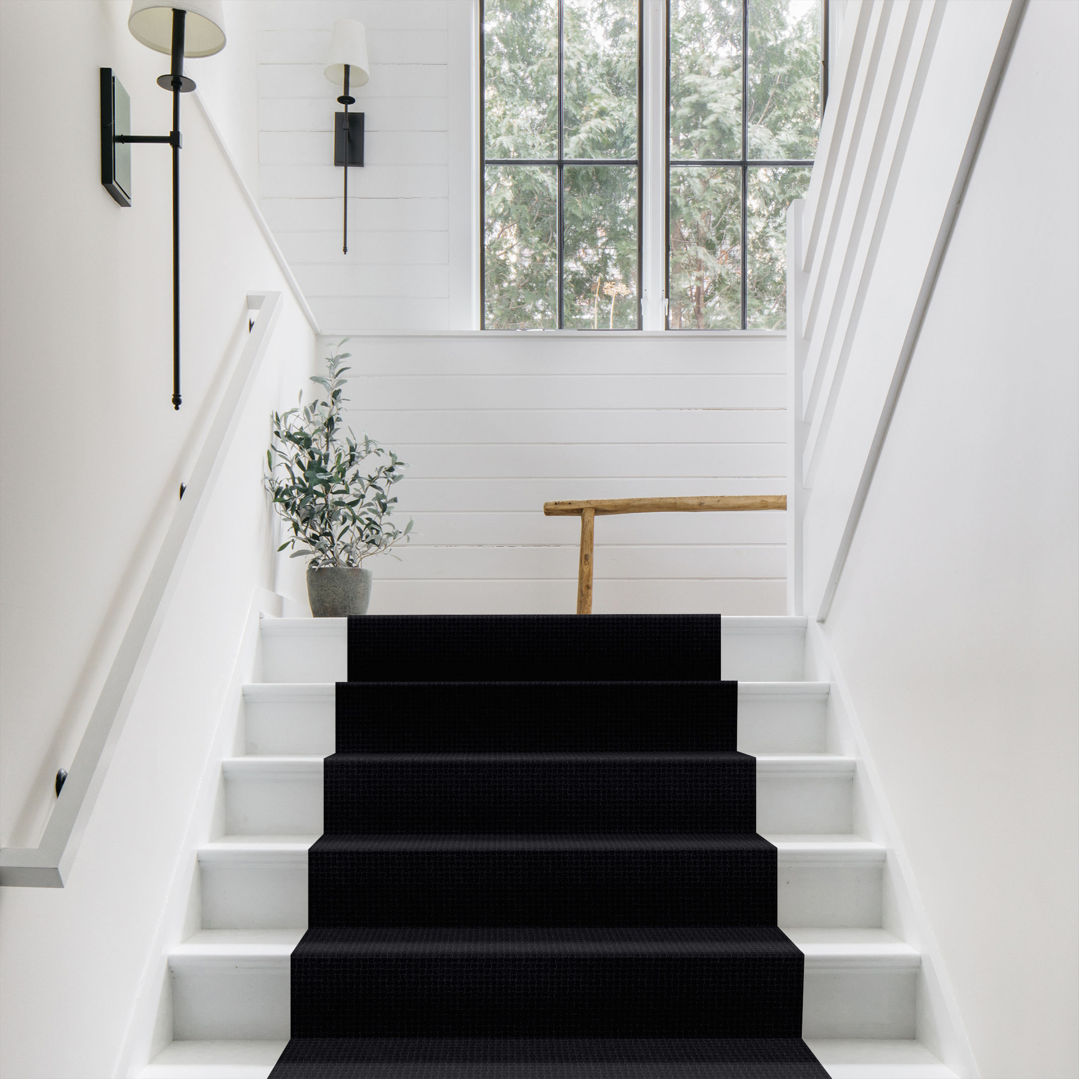 PAWSTRUCK NIGHT SHADE ROOM