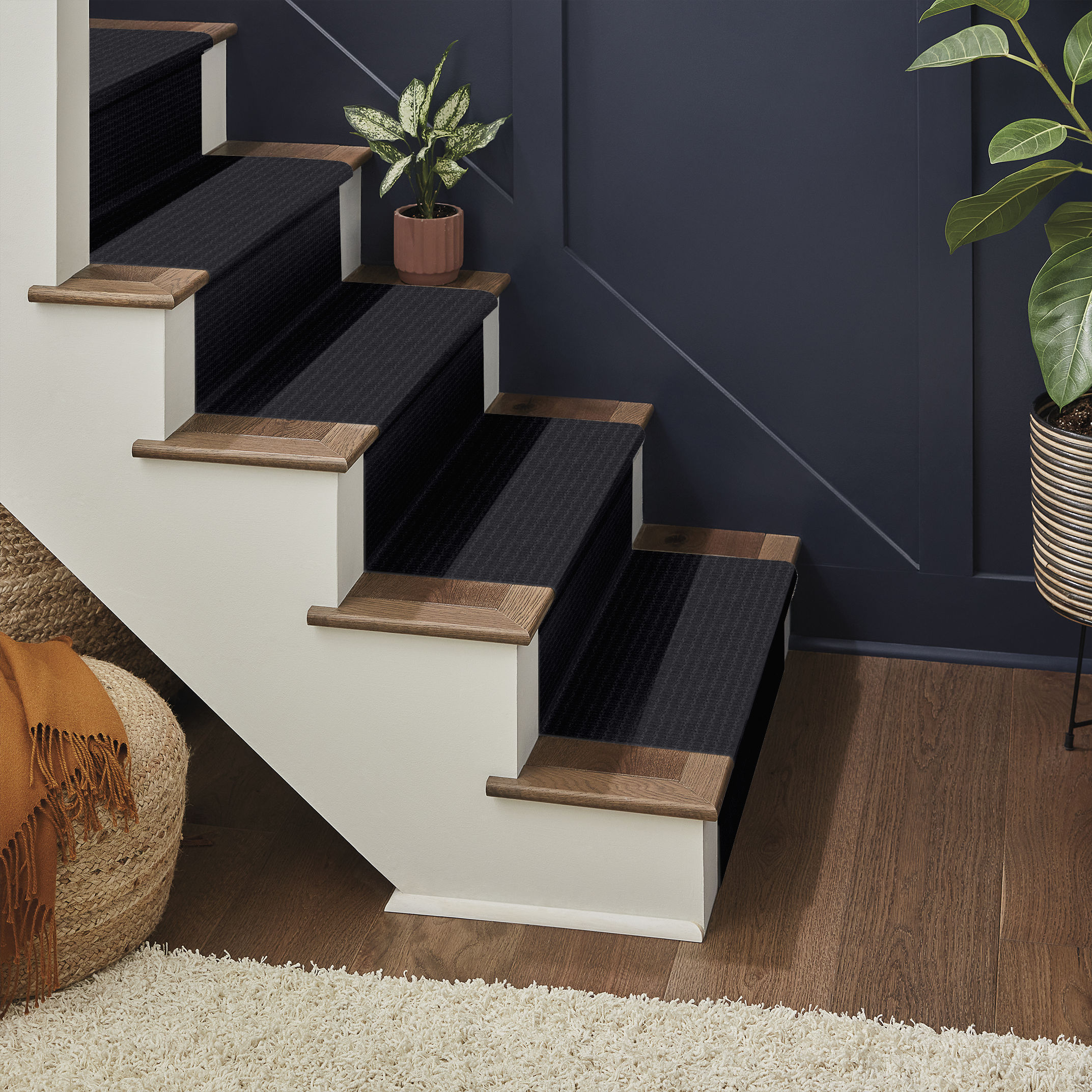 PAWSTRUCK NIGHT SHADE ROOM