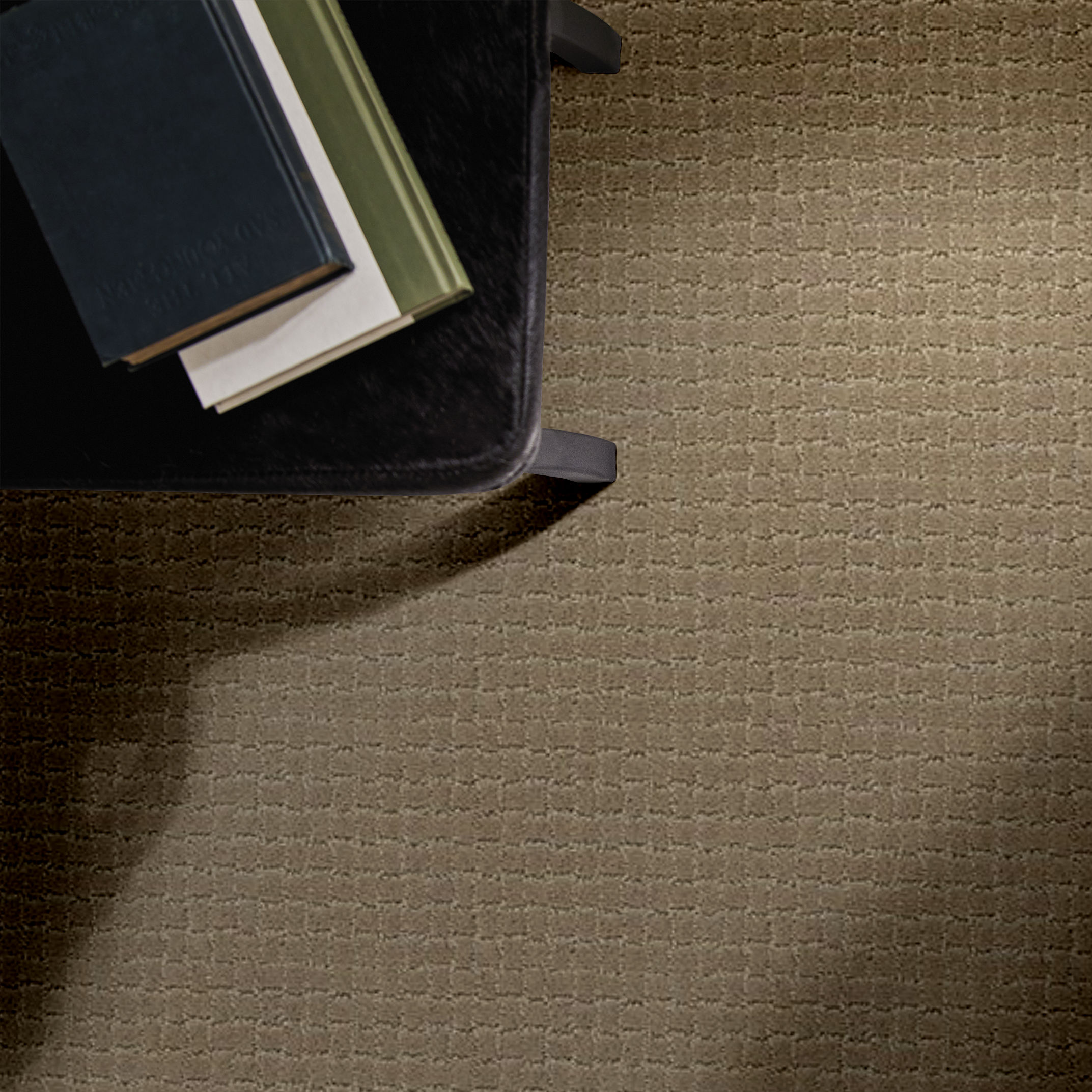 PAWSTRUCK DRIFTWOOD ROOM