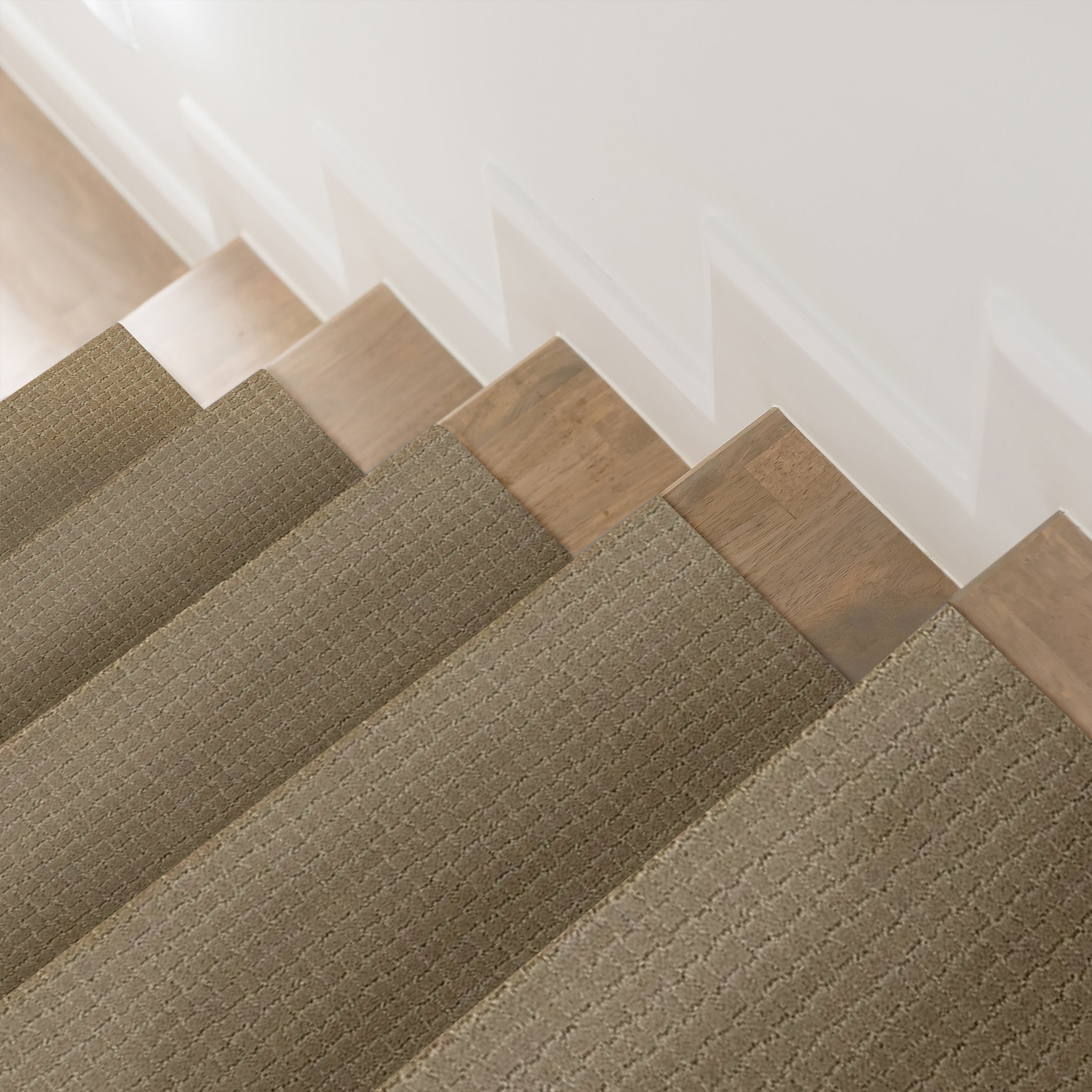 PAWSTRUCK DRIFTWOOD ROOM