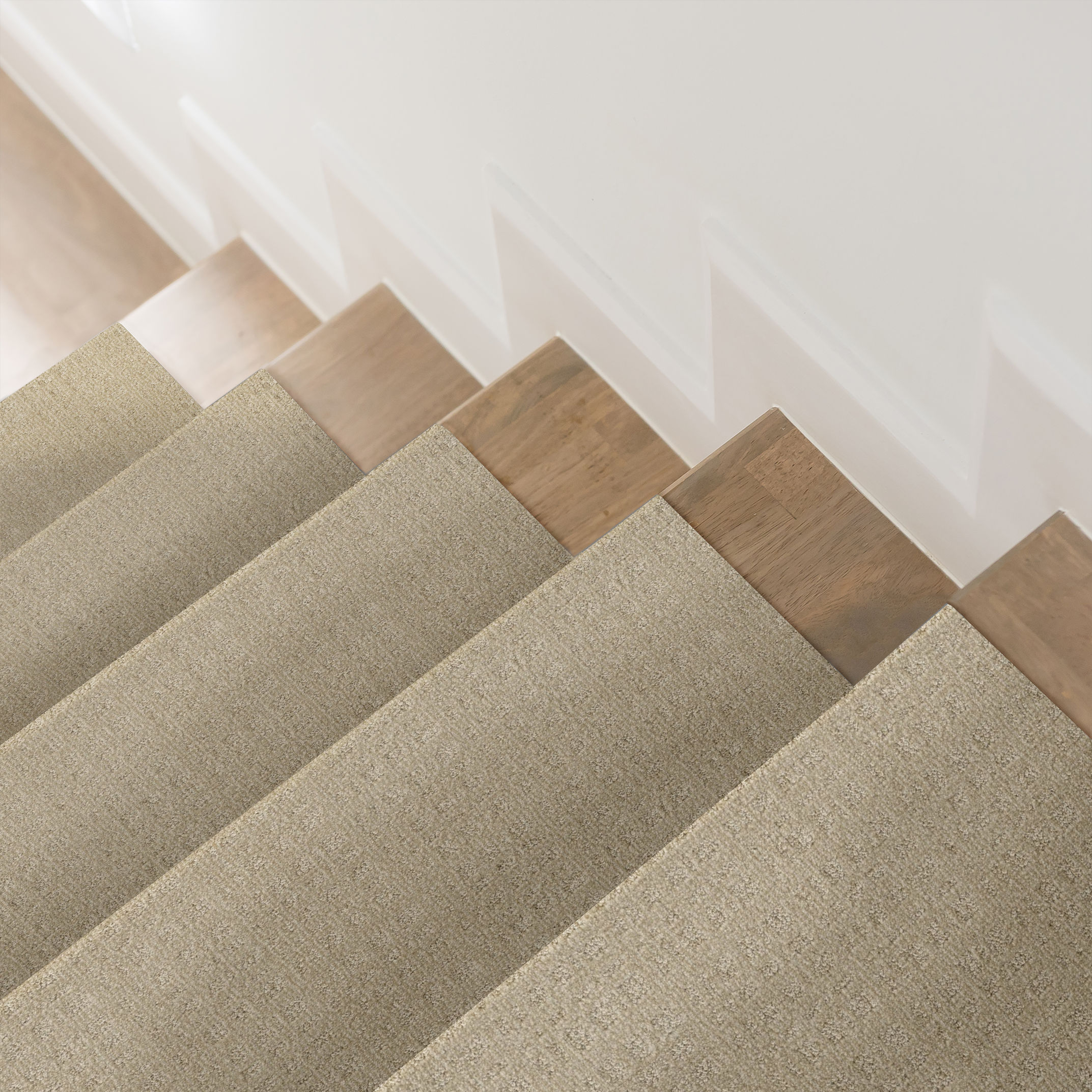 PURRSUASION BLONDE ROOM