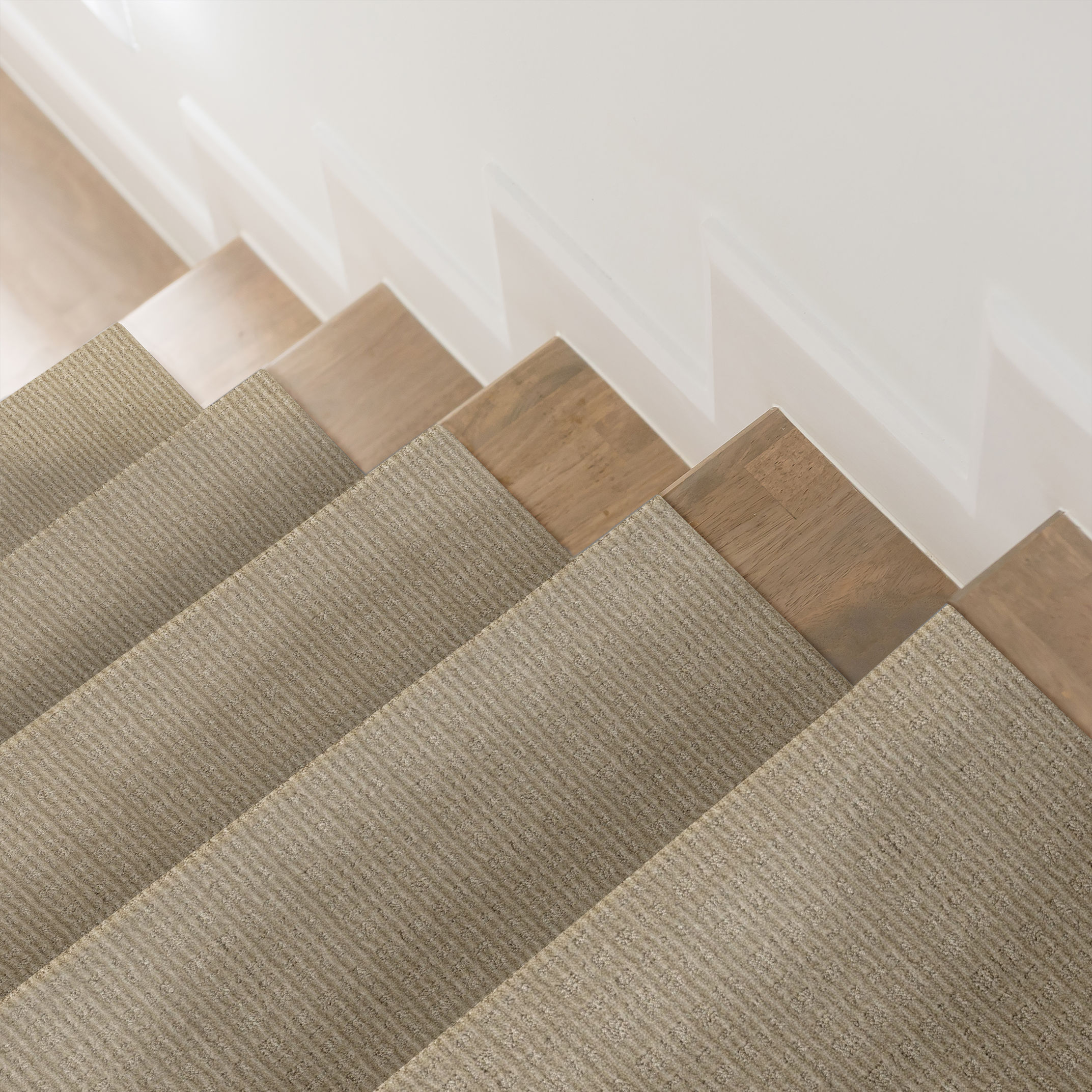 PURRSUASION SIMPLY BEIGE ROOM