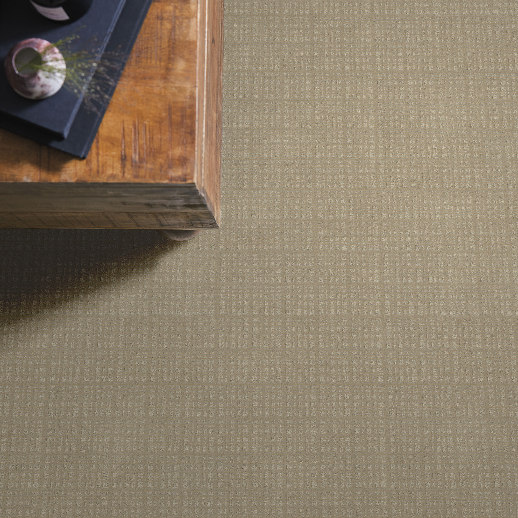 PURRSUASION SUNRISE ROOM