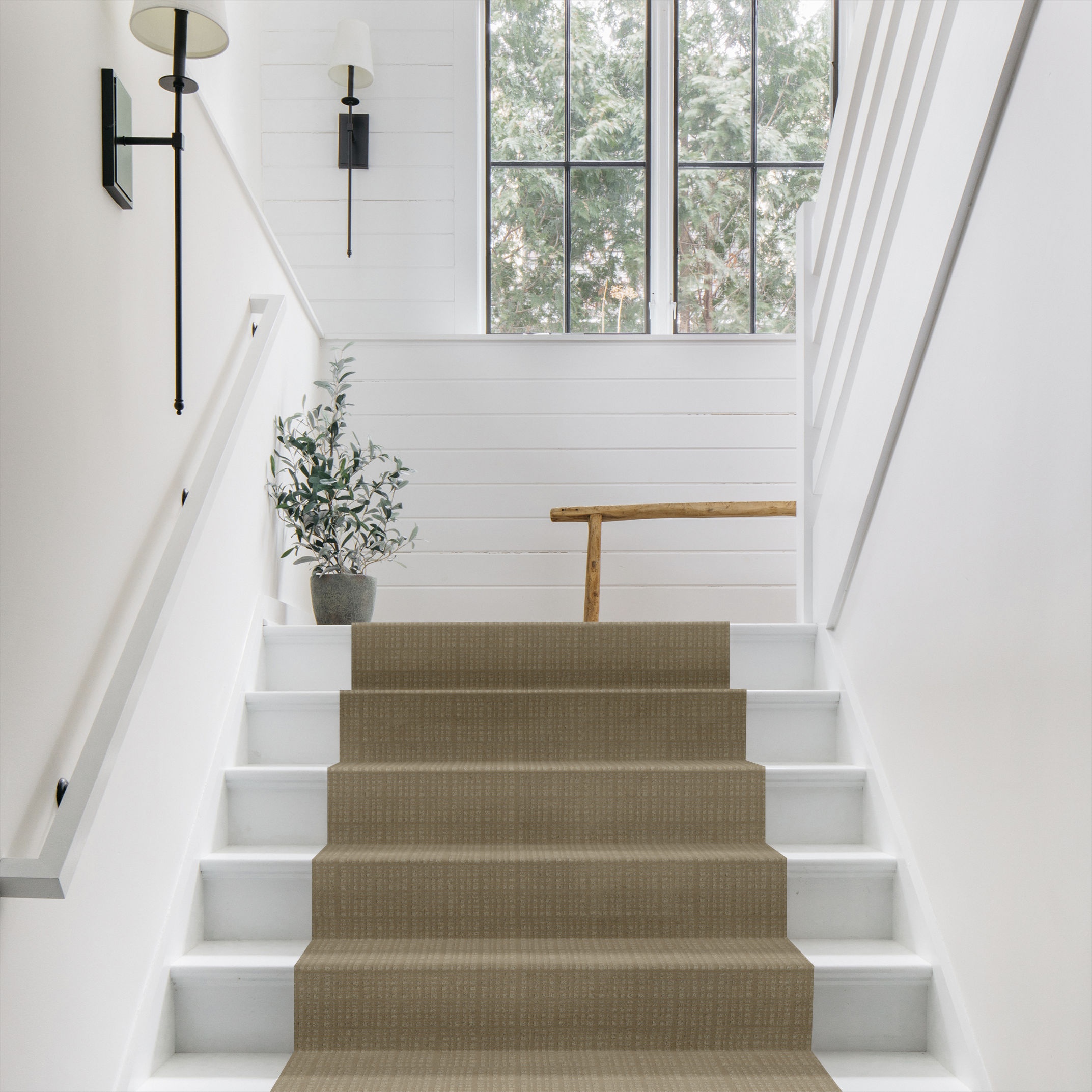 PURRSUASION SUNRISE ROOM