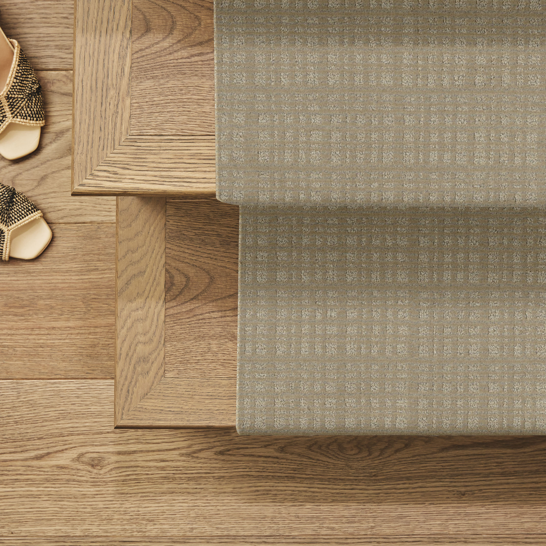 PURRSUASION SUNRISE ROOM